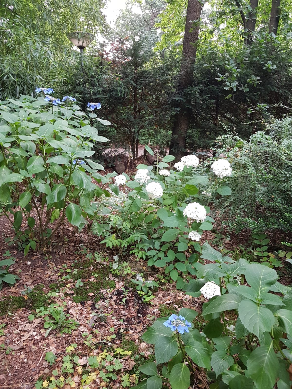 Naturhäuschen in Groesbeek