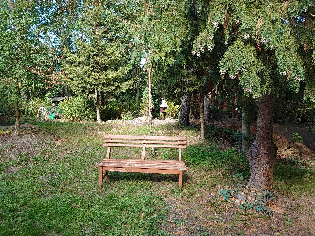- image: 12
