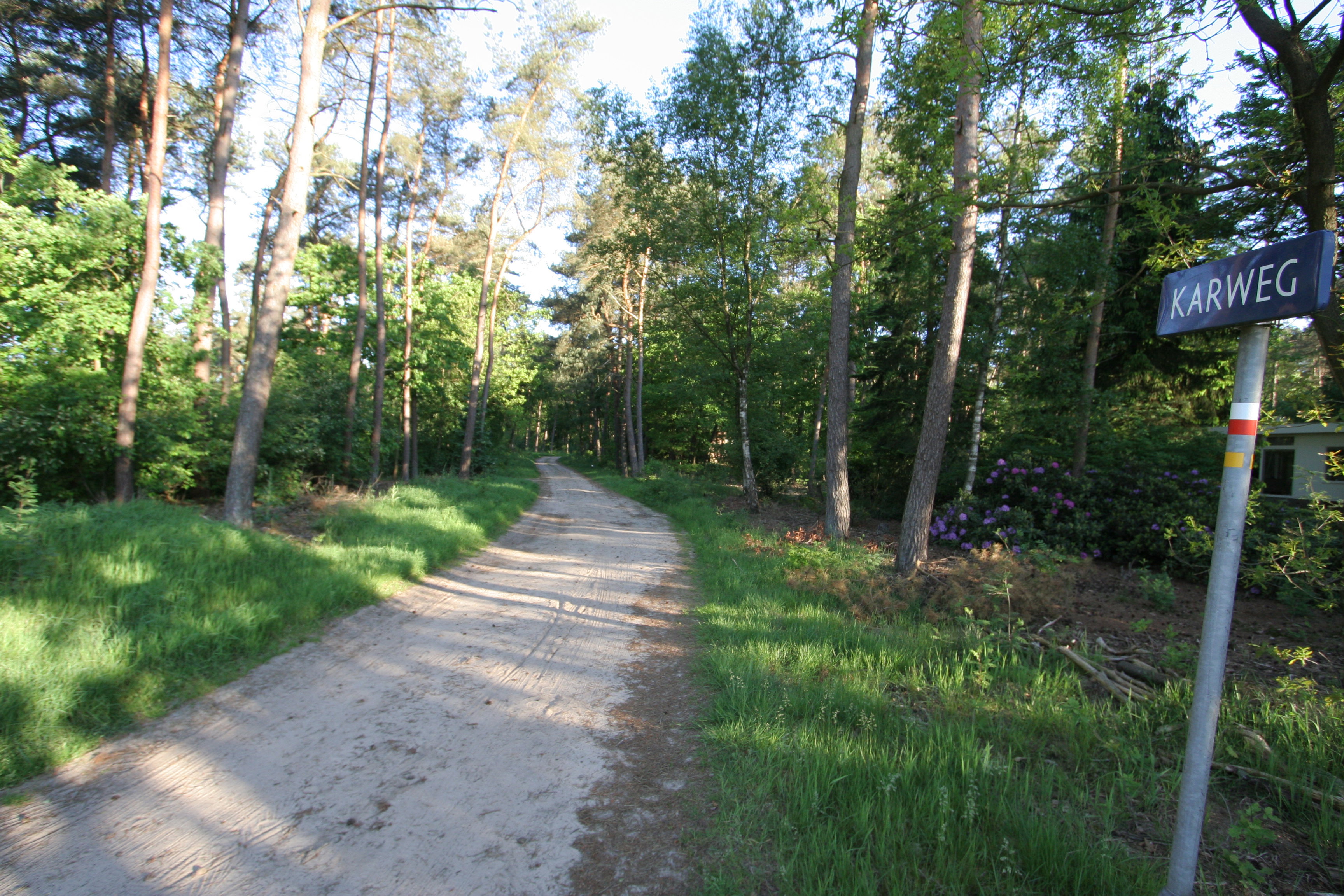 - image: 44