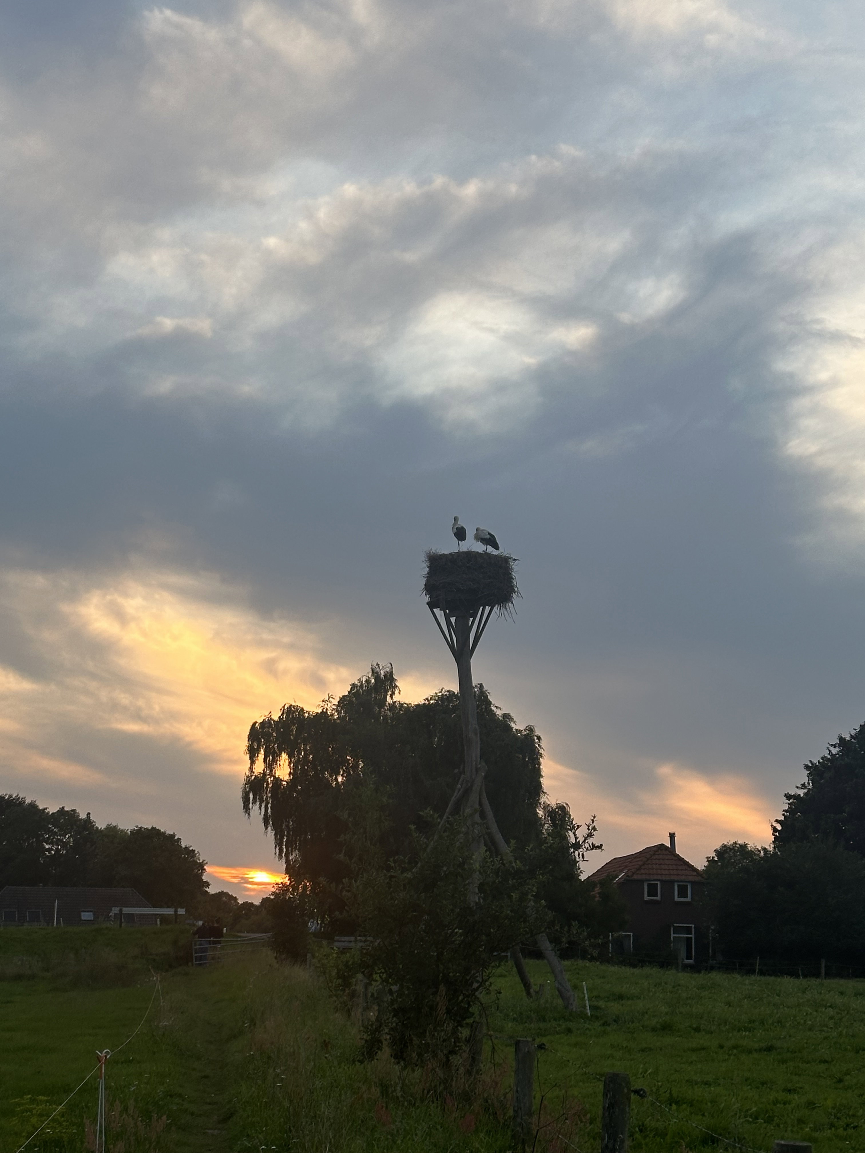 Natuurhuisje in Zalk