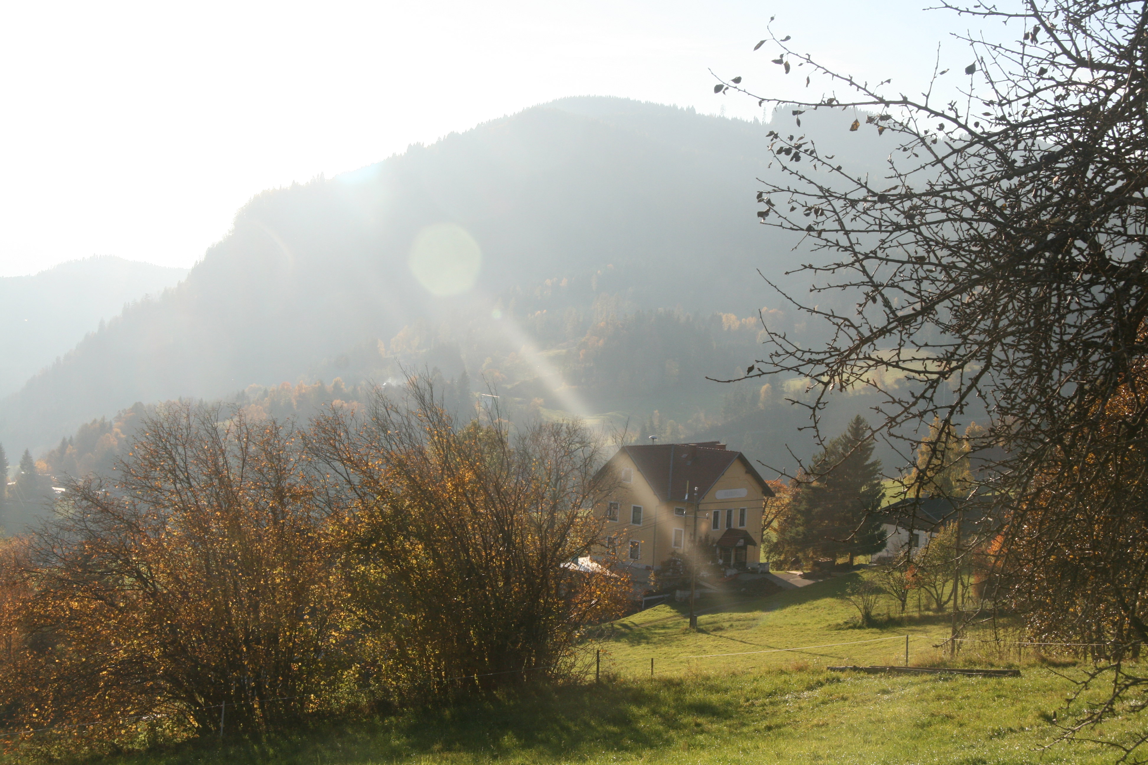 - image: 2