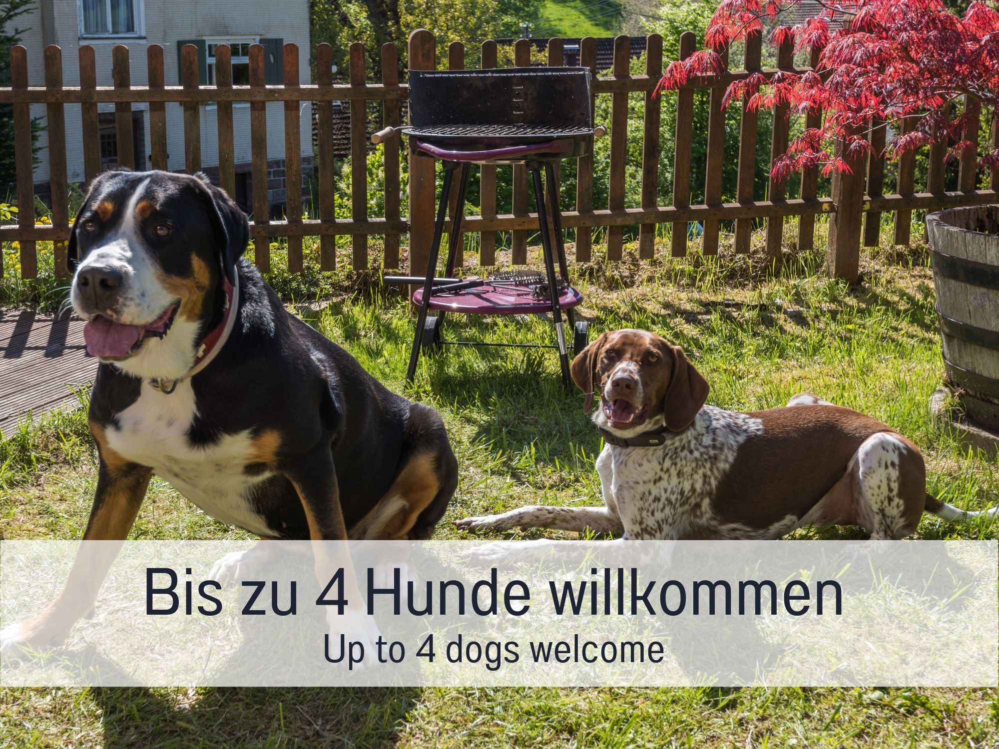 Naturhäuschen in Enzklösterle
