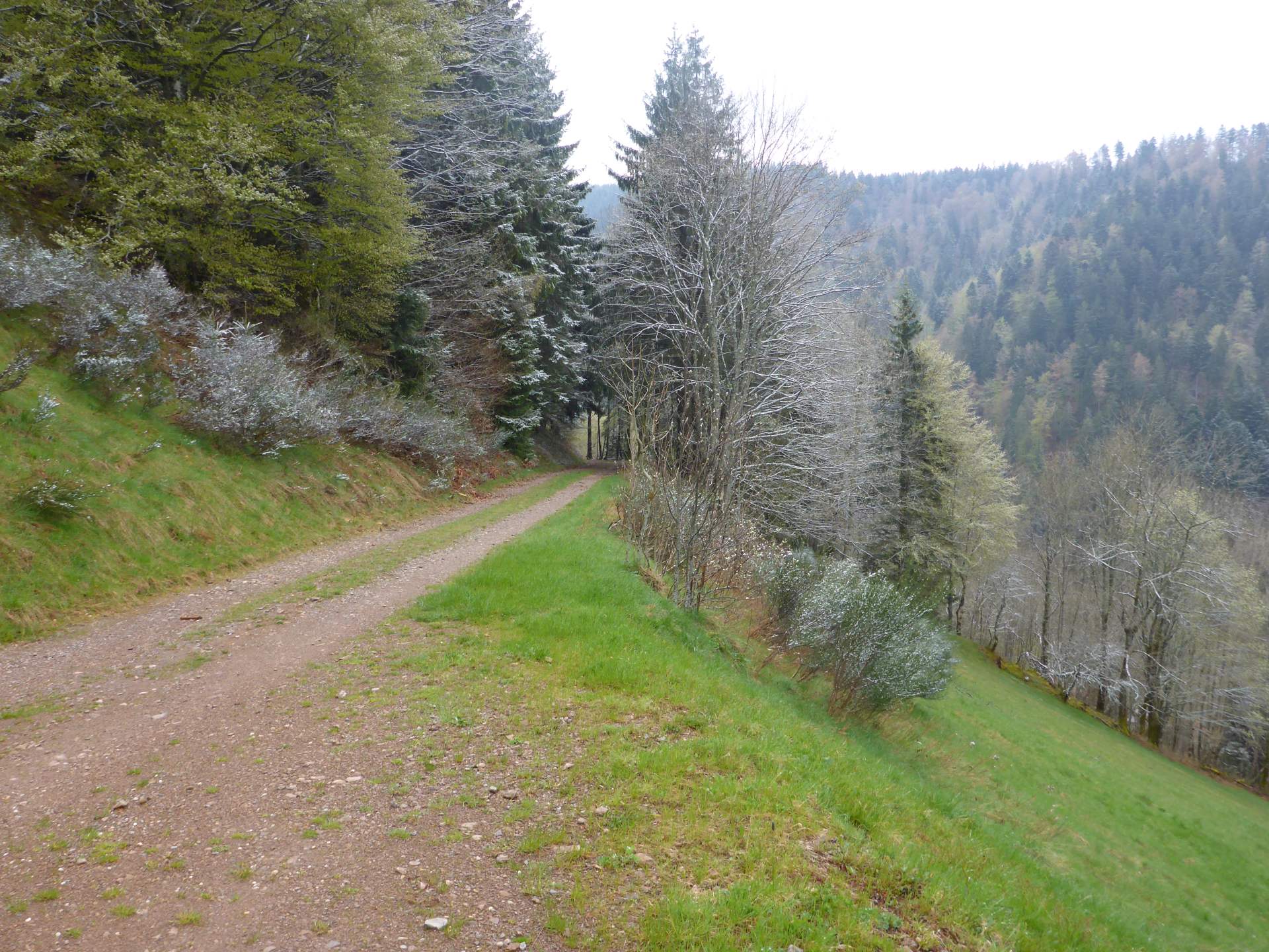 - image: 12