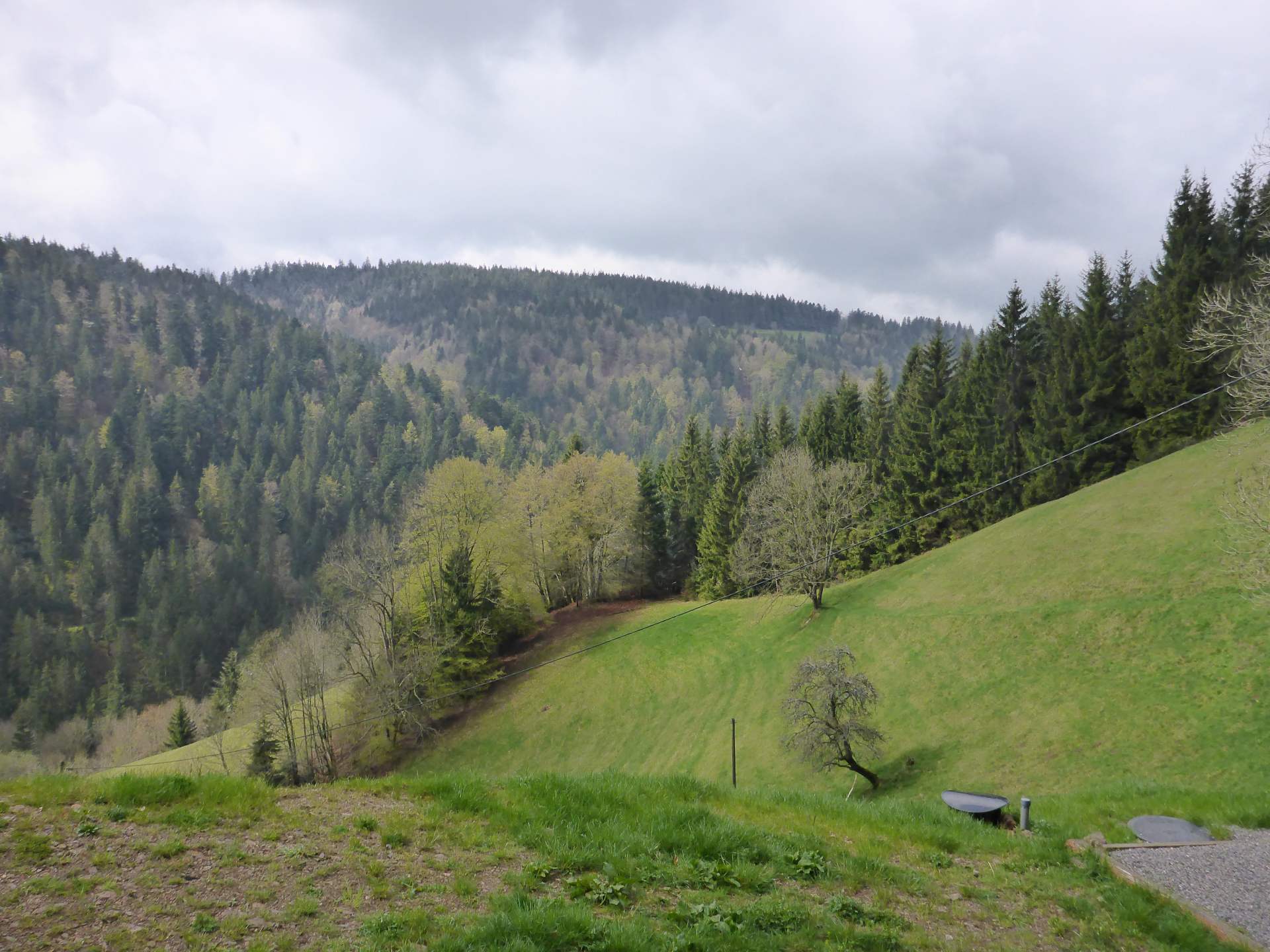 - image: 13