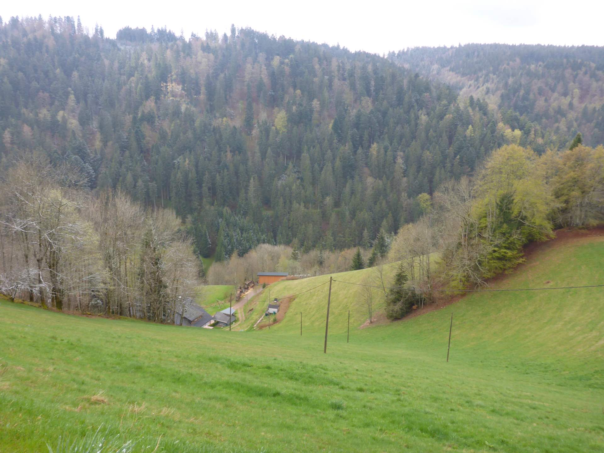 Natuurhuisje in St. Märgen