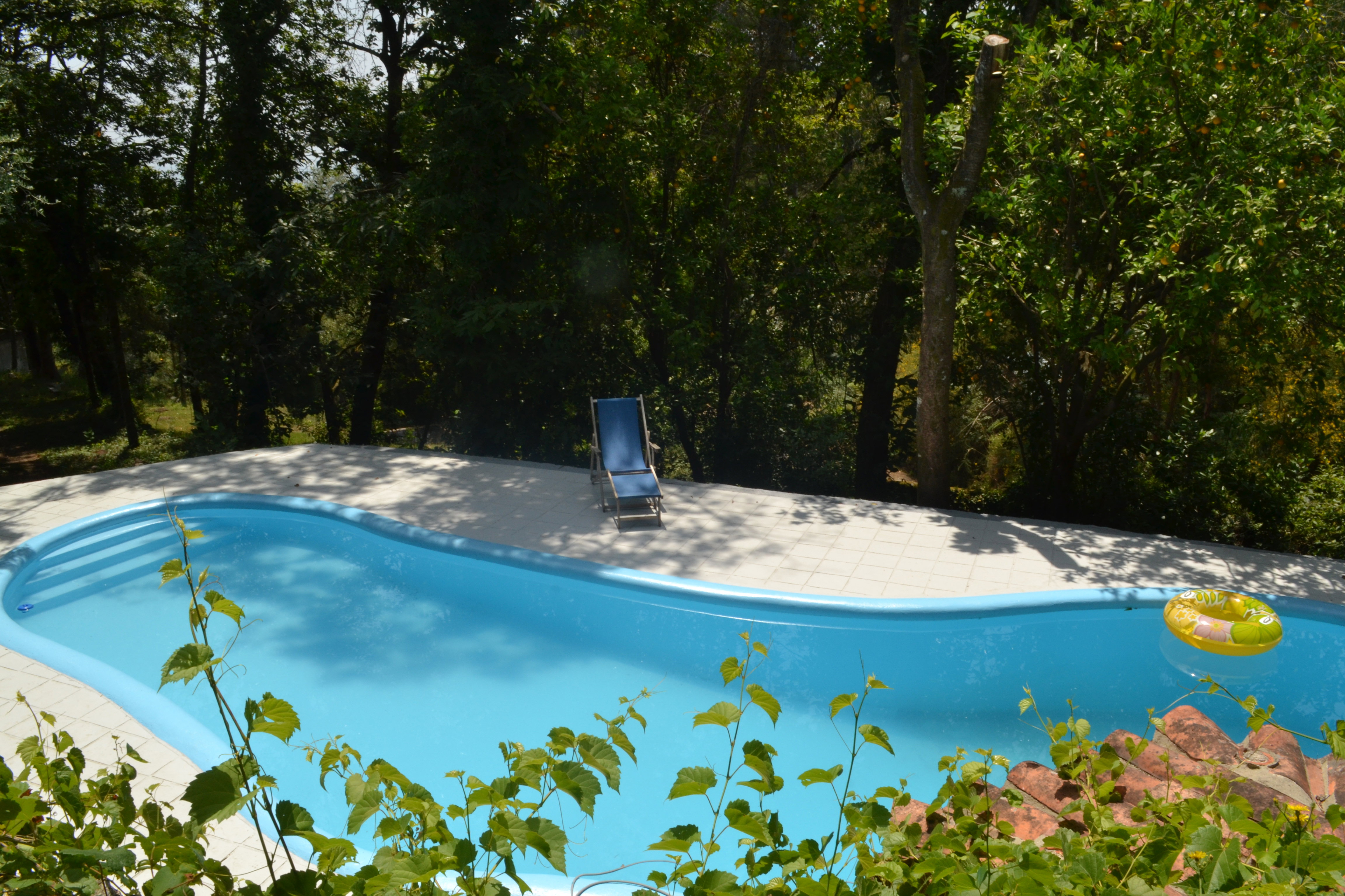 Maison nature à Prado Sao Miquel