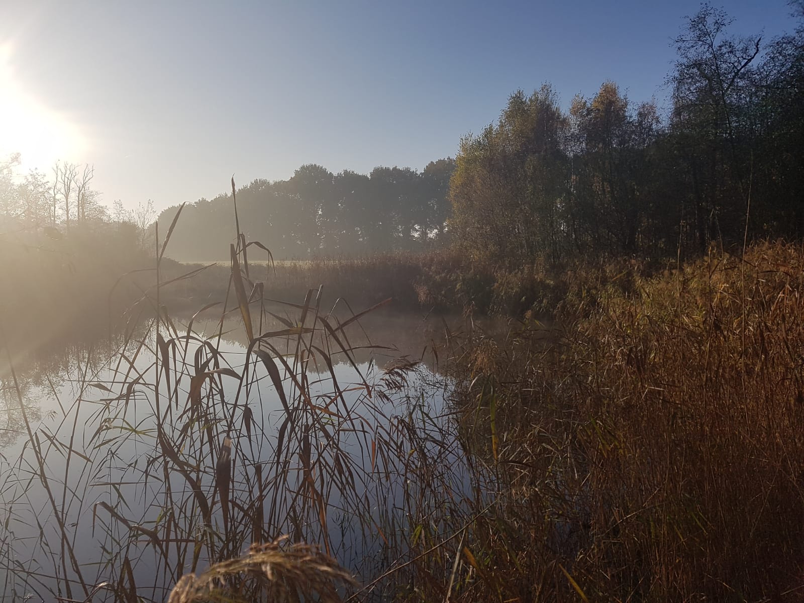- image: 36