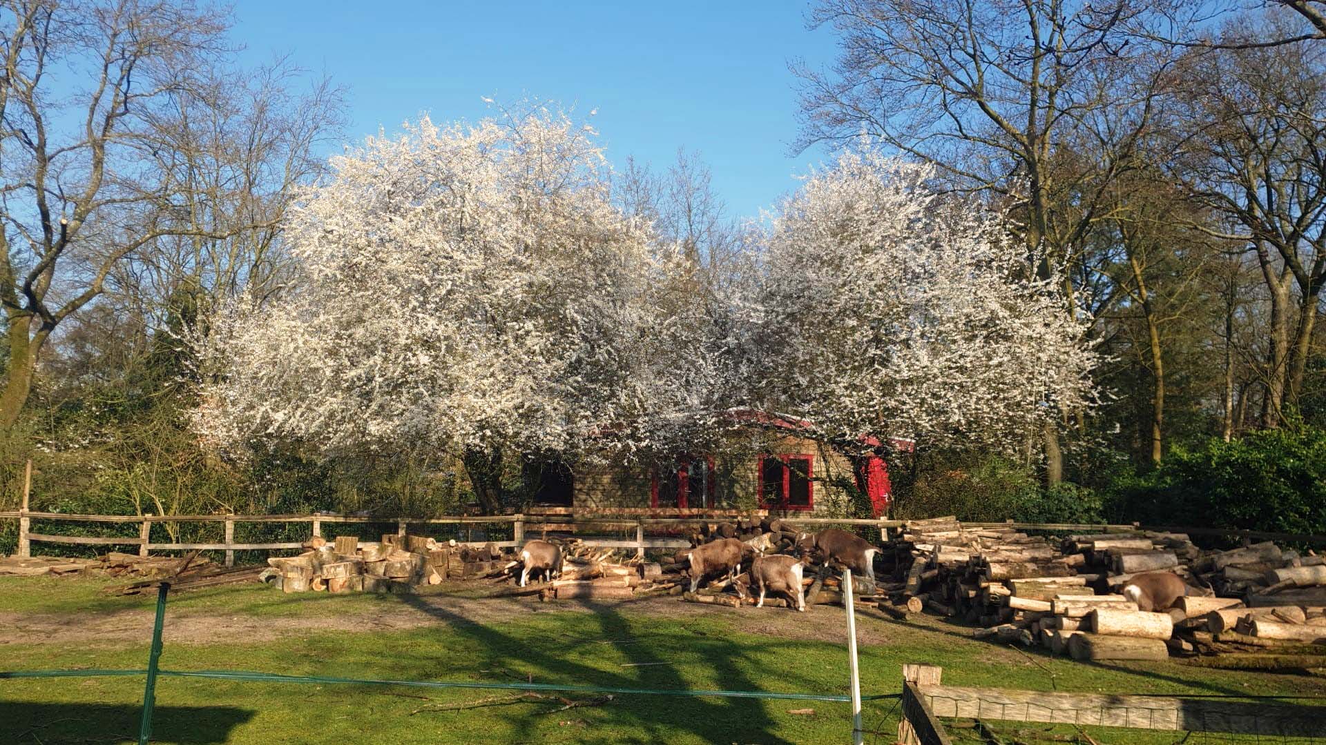 Natuurhuisje in Otterlo