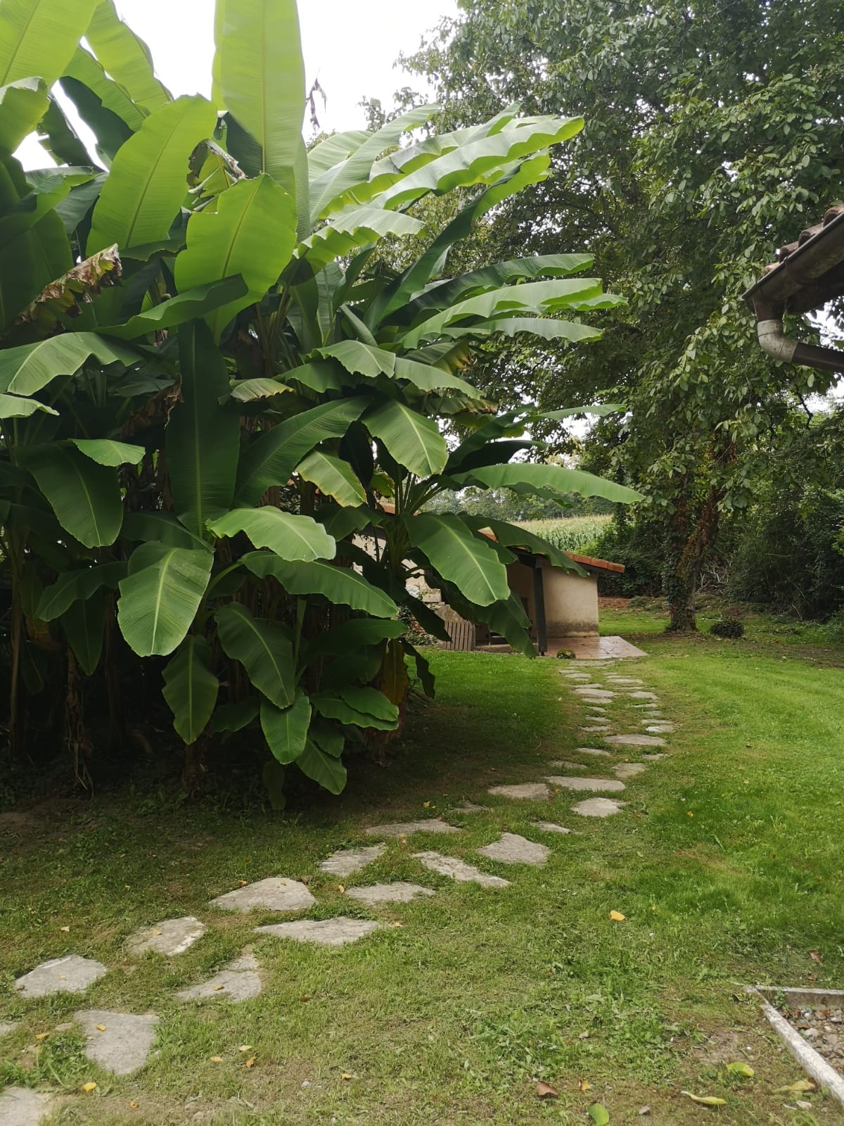 Maison nature à Pouillon