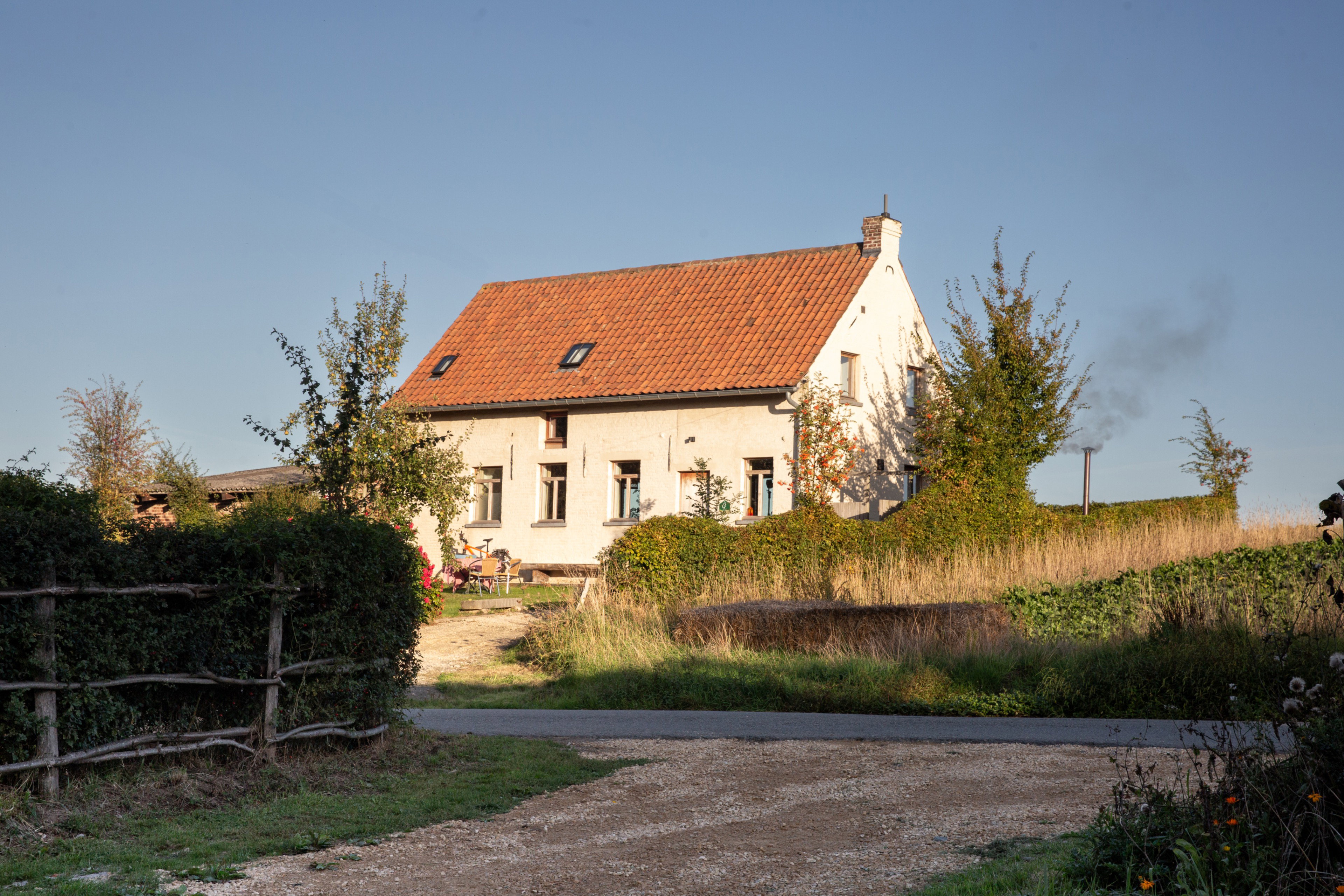 - image: 42