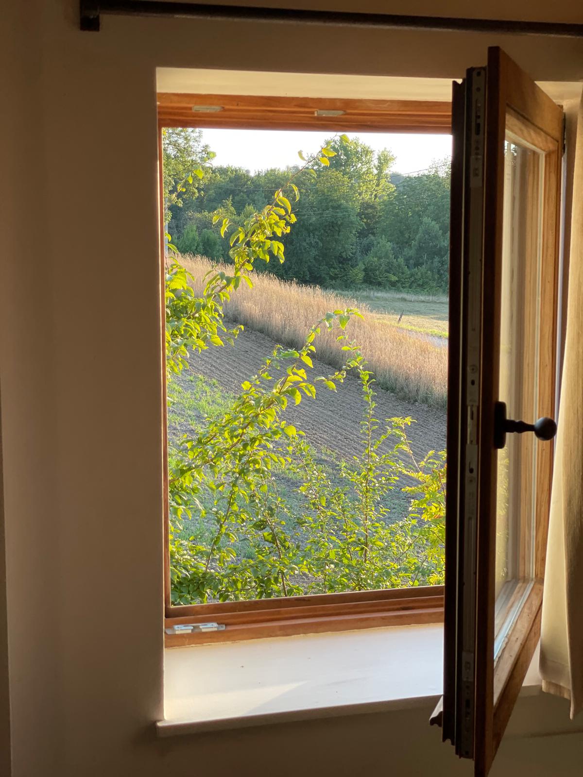 - image: 19