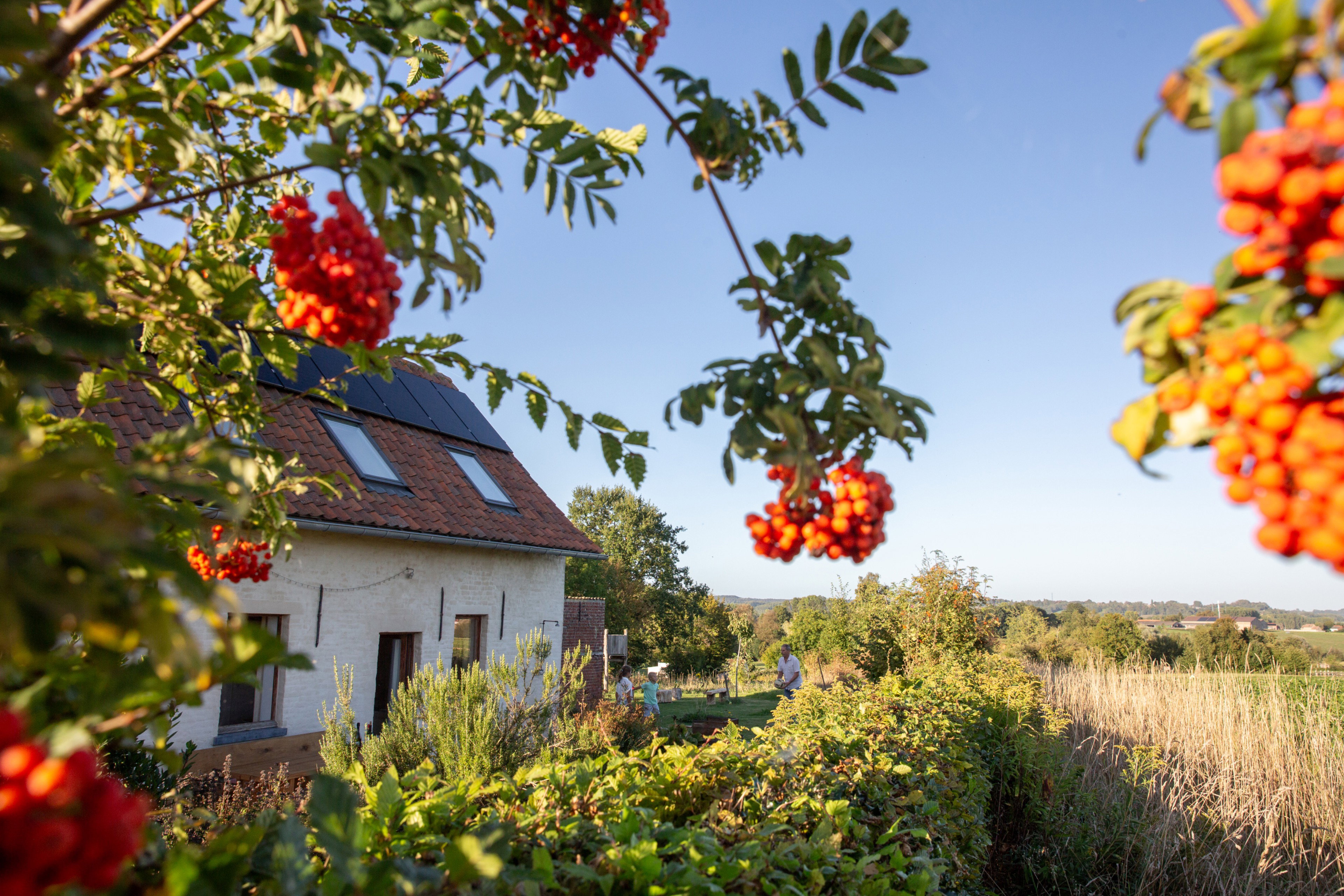 Casa nella natura a Ellezelles