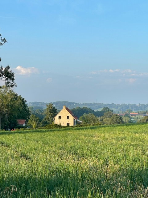 Casa nella natura a Ellezelles
