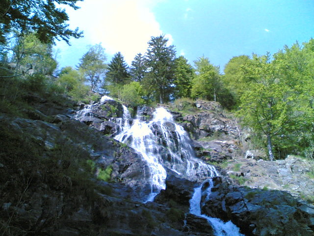 - image: 14