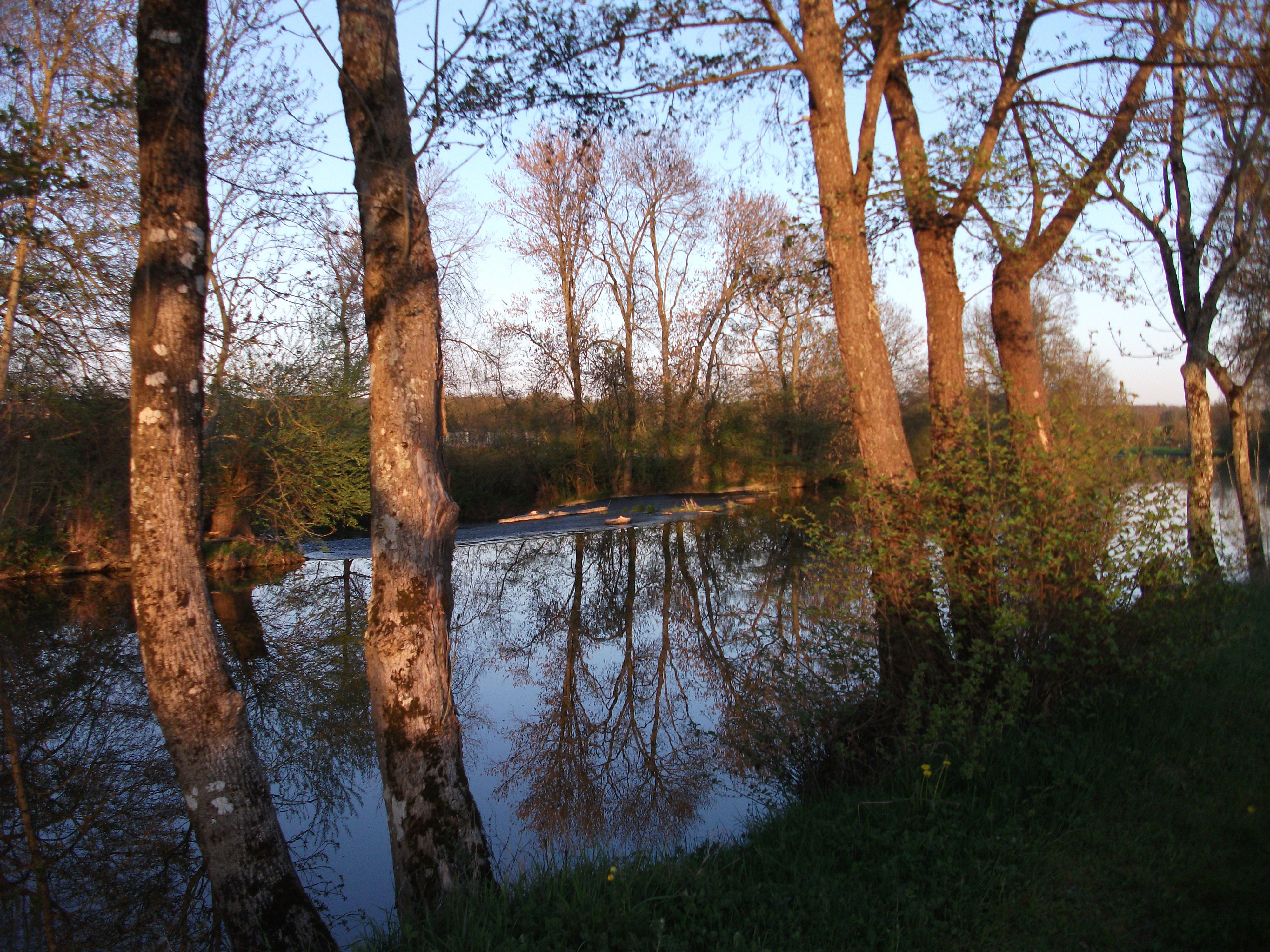 Natuurhuisje in Annay sur Serein