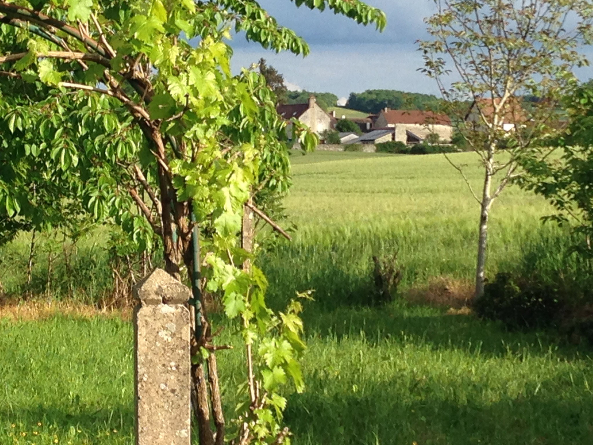 - image: 27