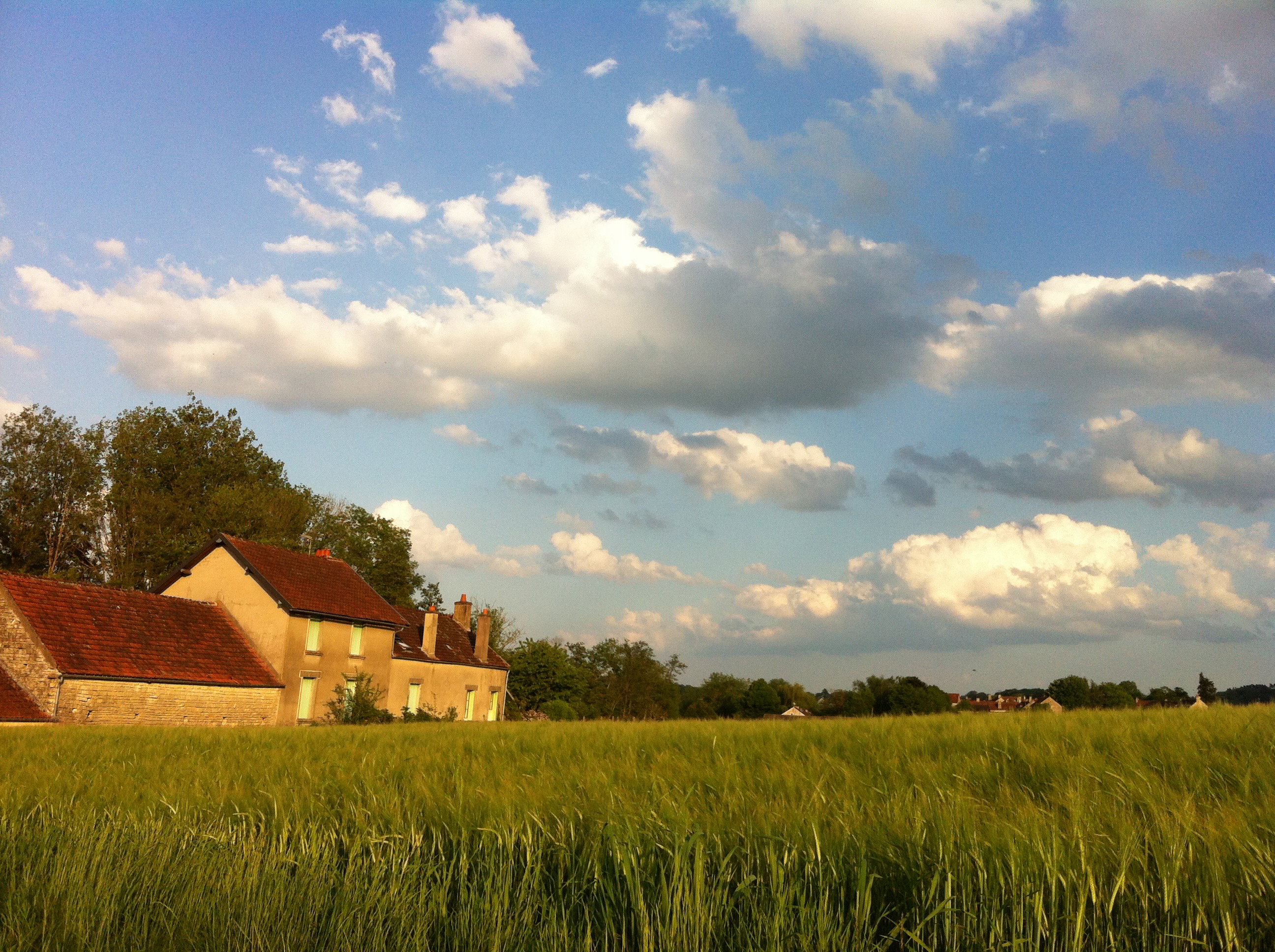 Natuurhuisje in Annay sur Serein