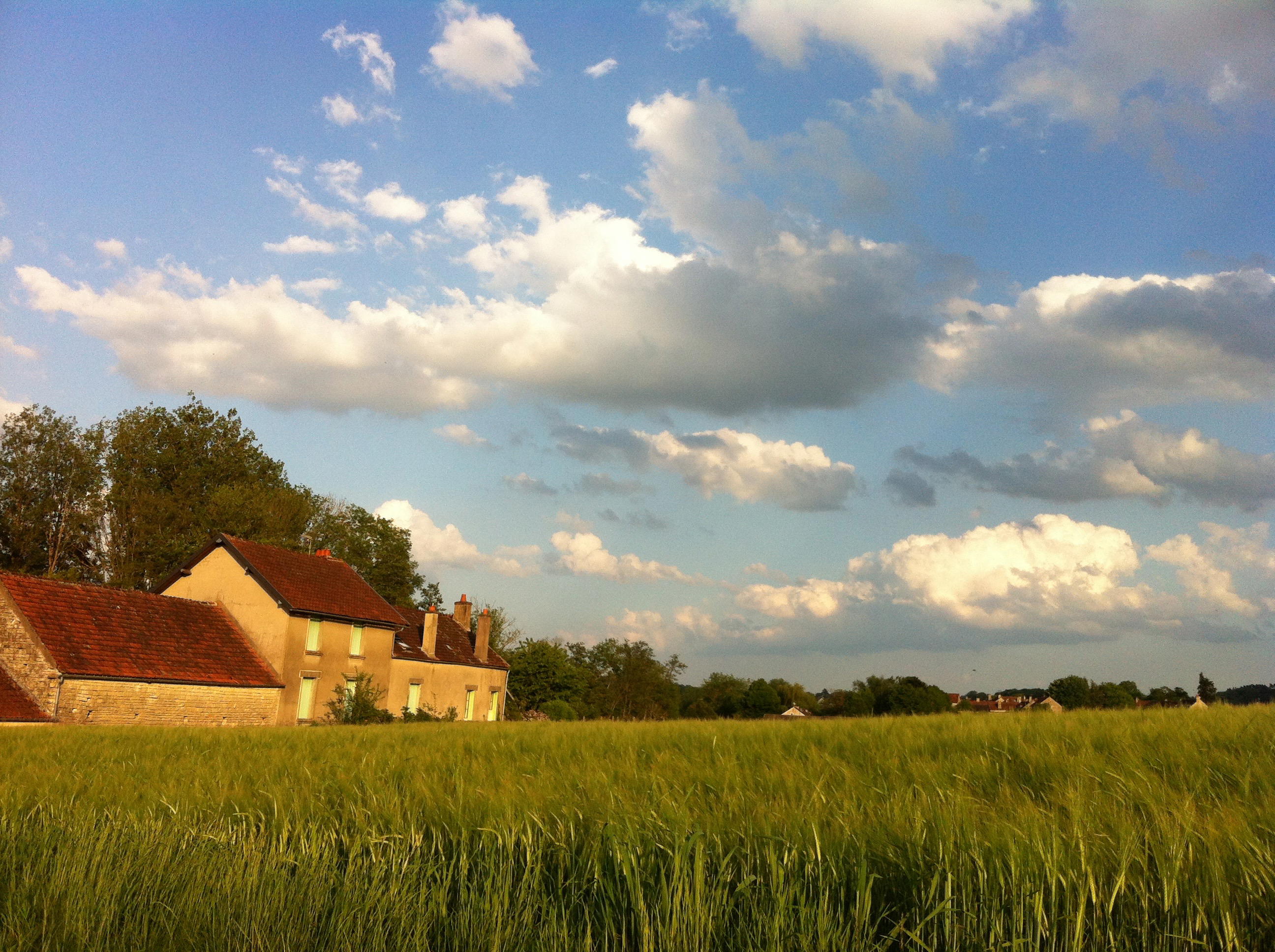 Nature house in Annay sur Serein