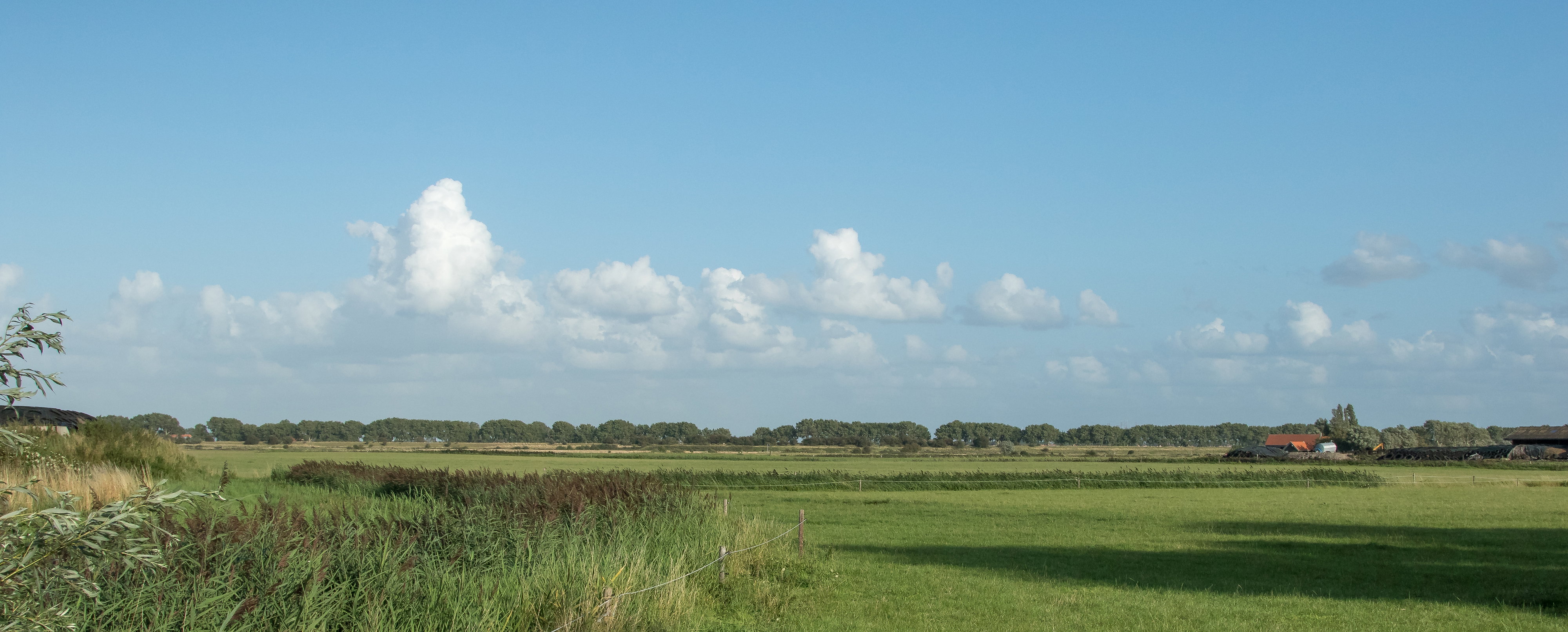 Natuurhuisje in Veere