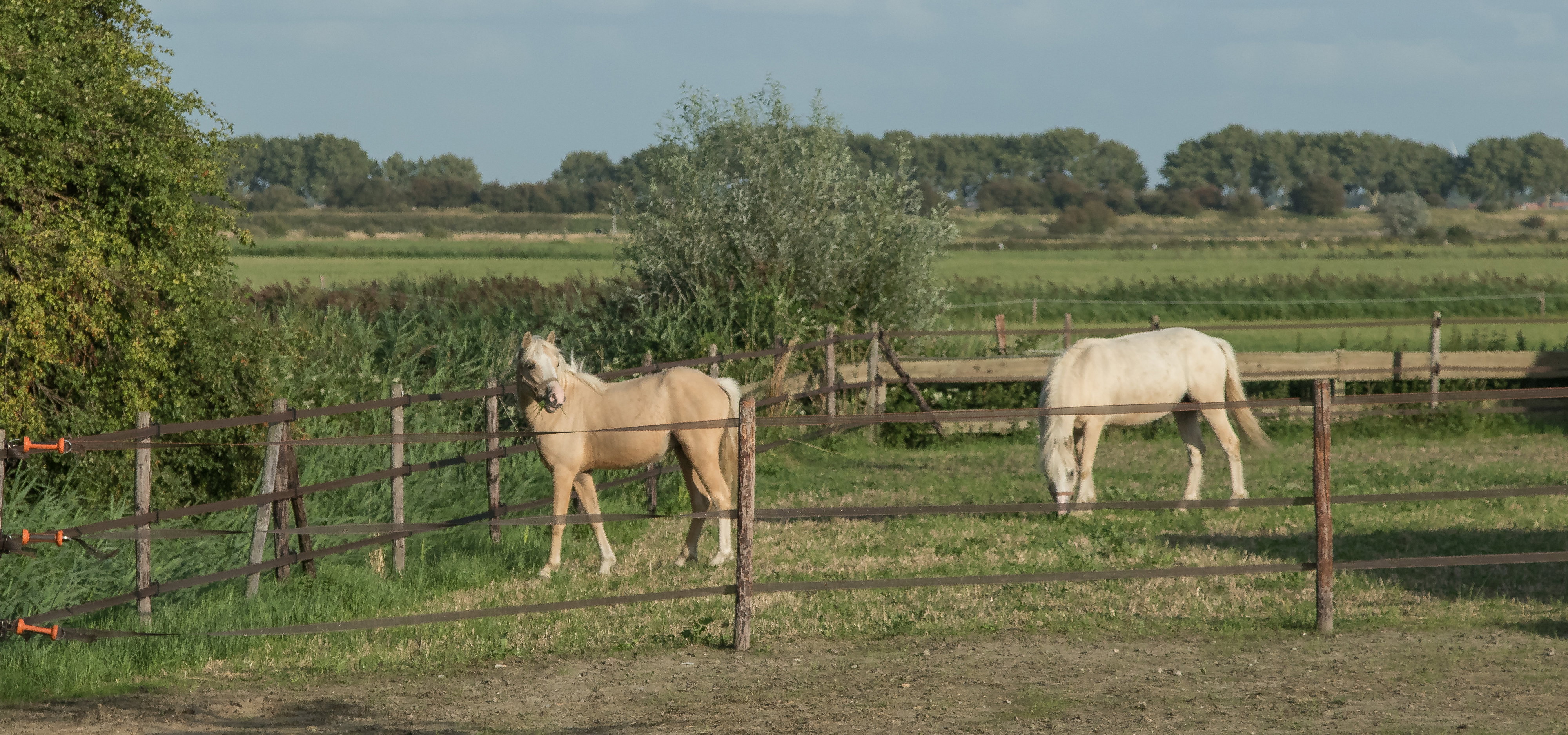 Natuurhuisje in Veere
