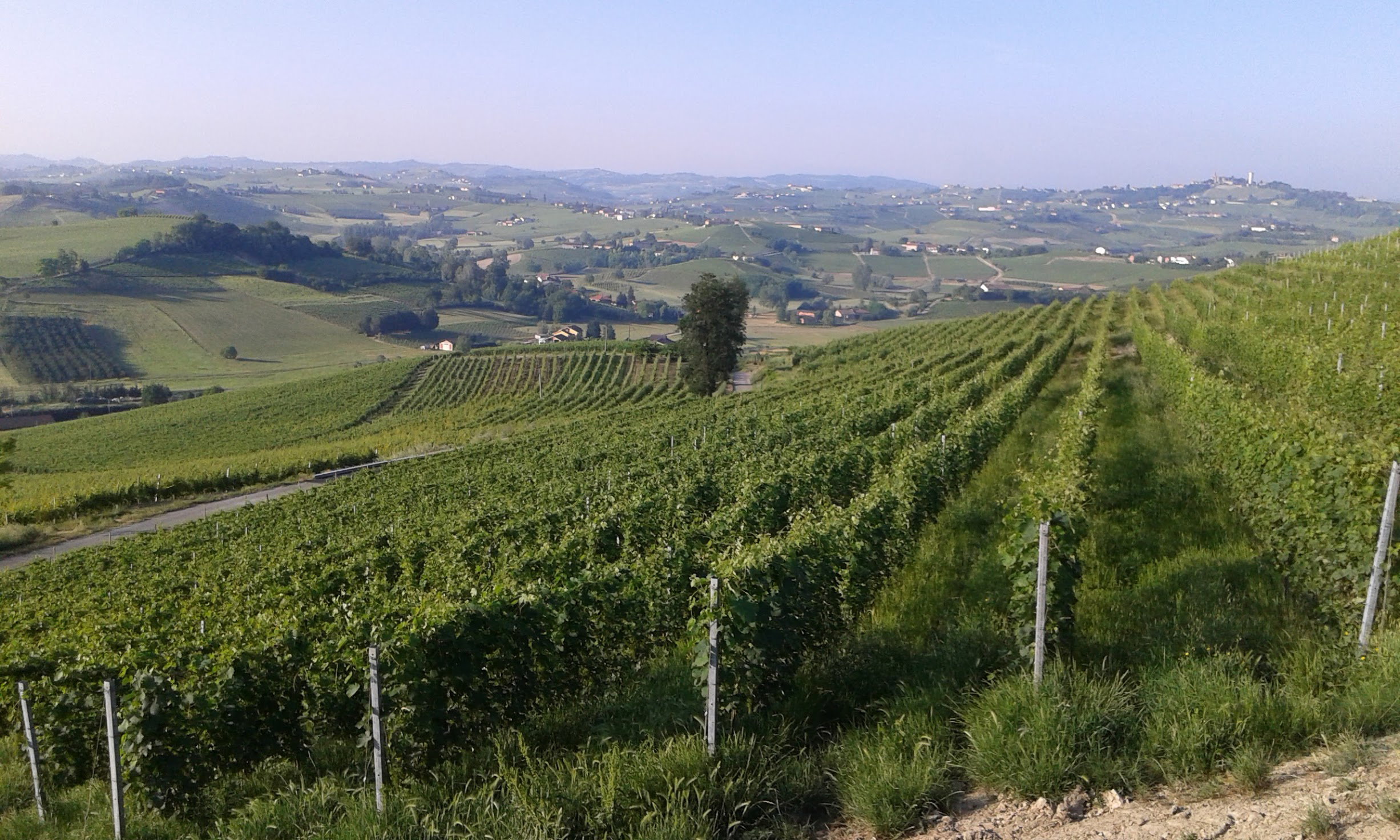 Nature house in Agliano Terme AT