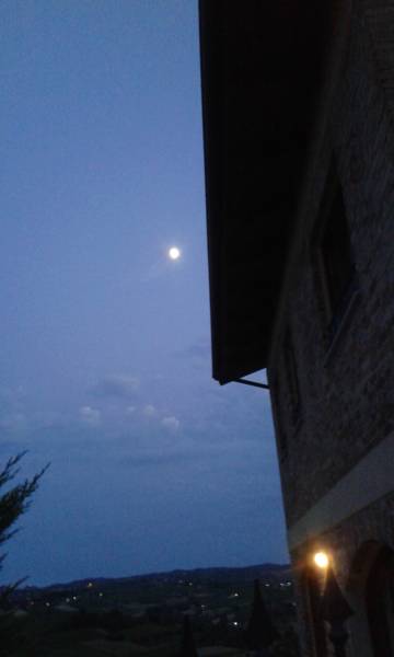 - image: 21