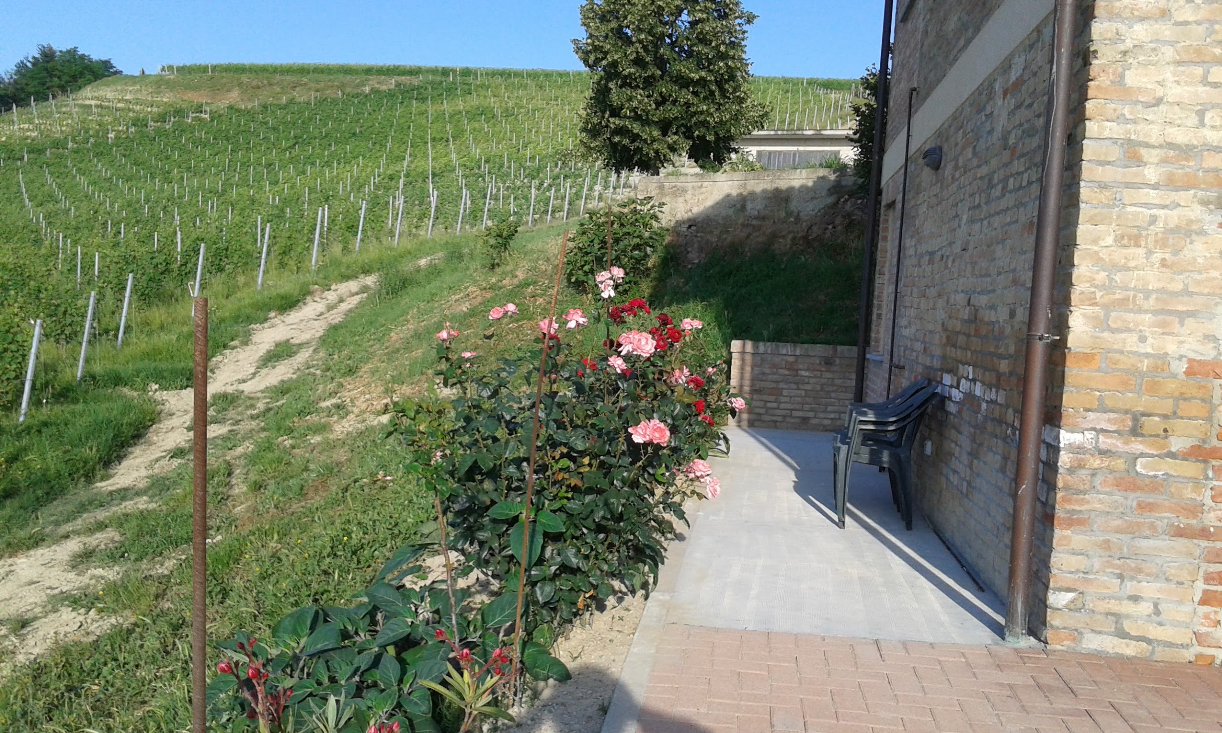Nature house in Agliano Terme AT