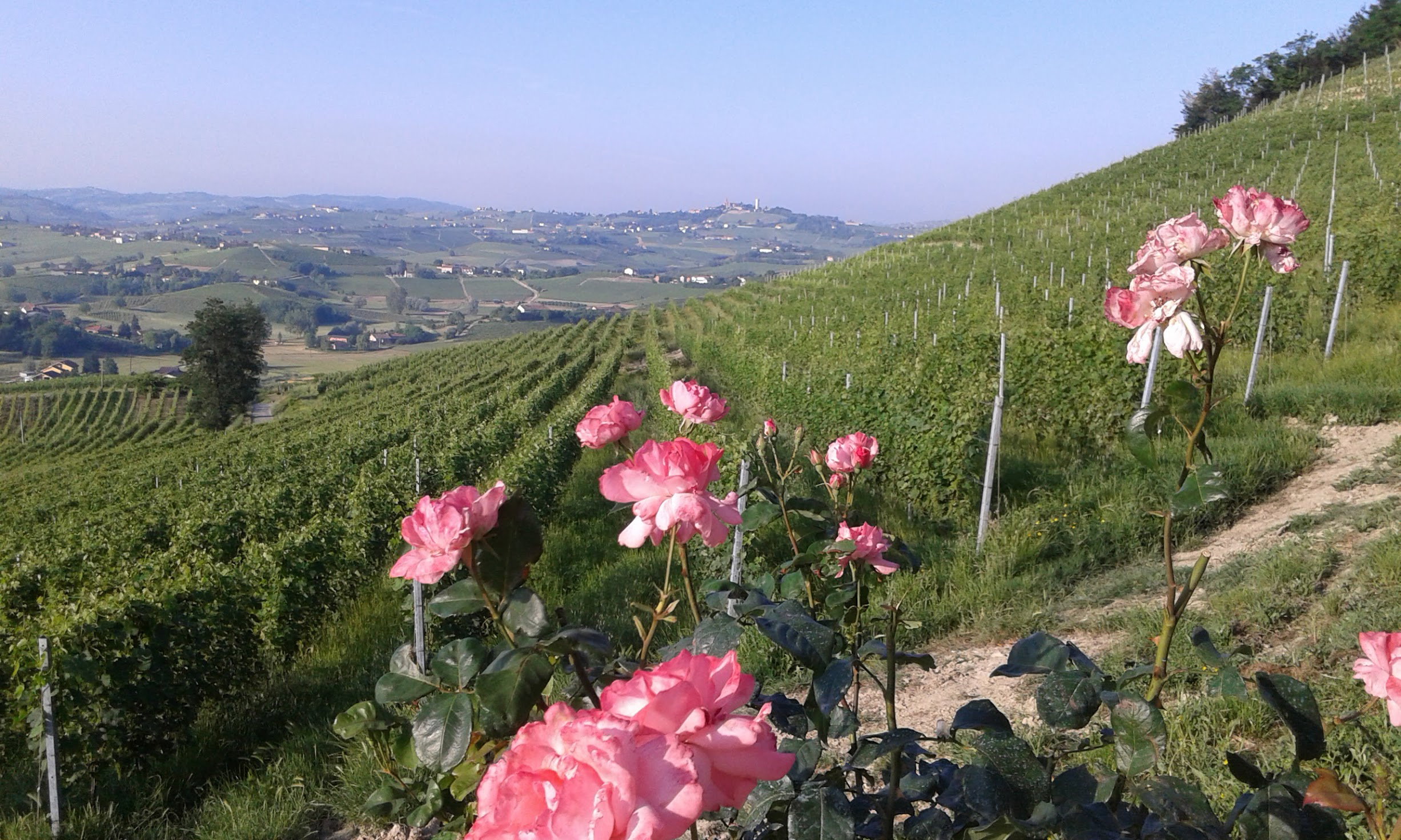 Nature house in Agliano Terme AT