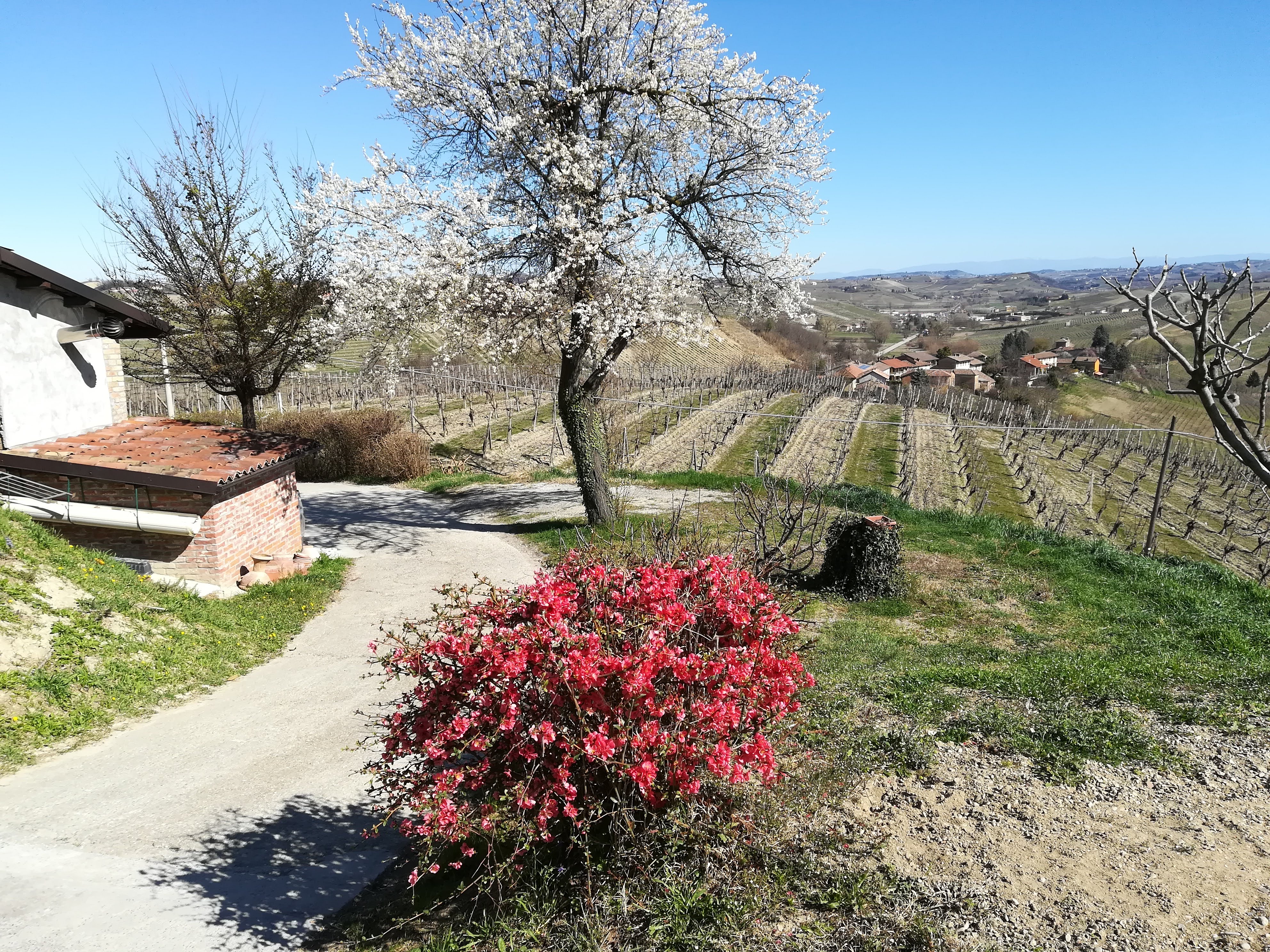 Nature house in Agliano Terme AT