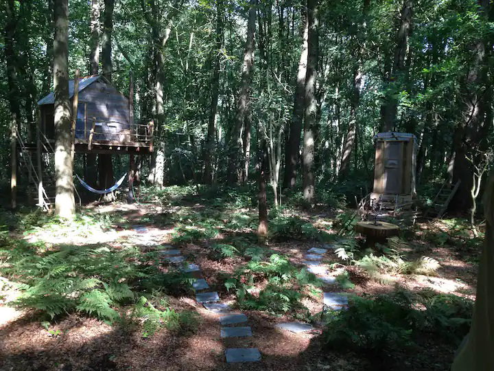 - image: 18