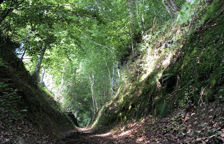 - image: 17