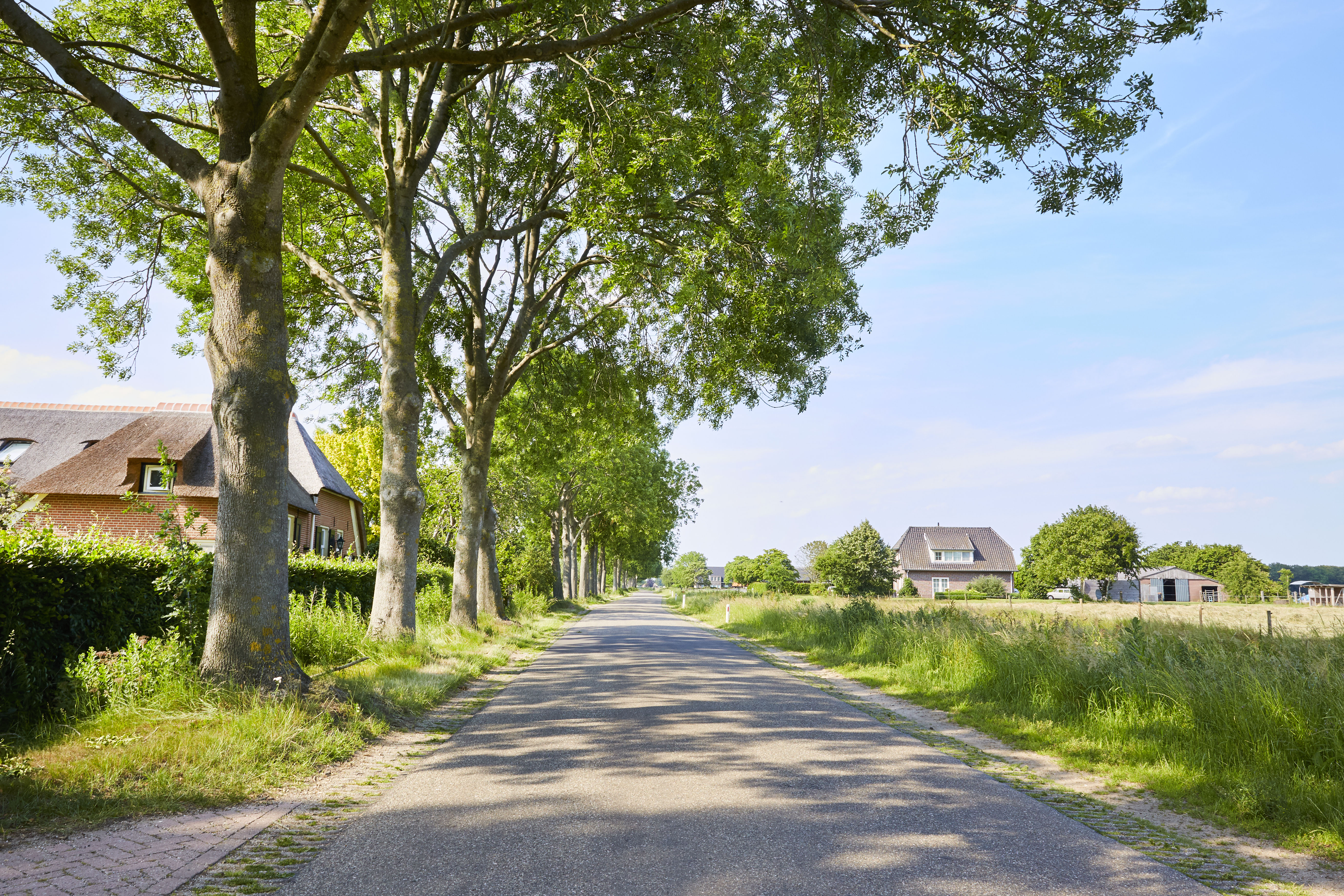 Naturhäuschen in Wijhe
