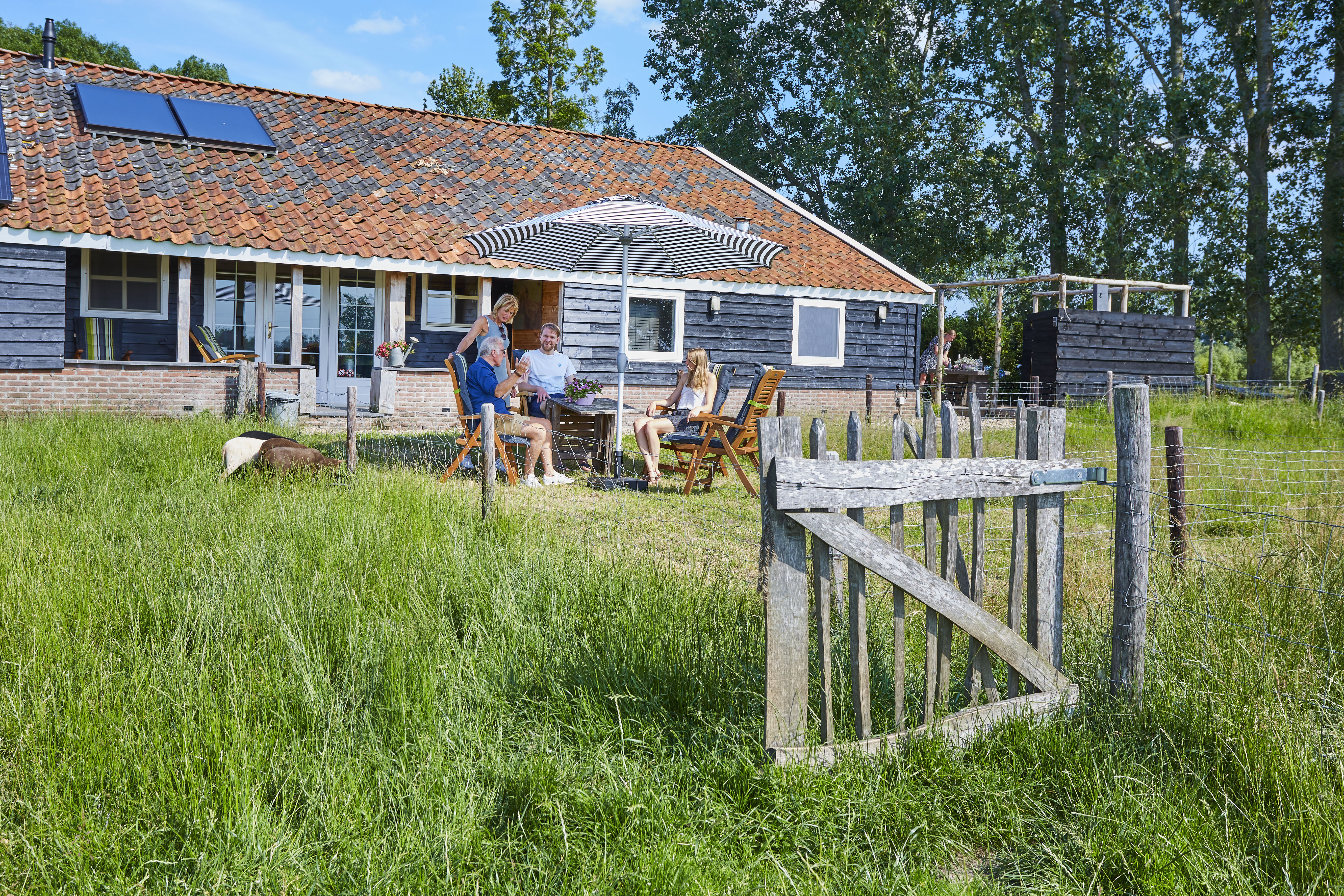 Naturhäuschen in Wijhe