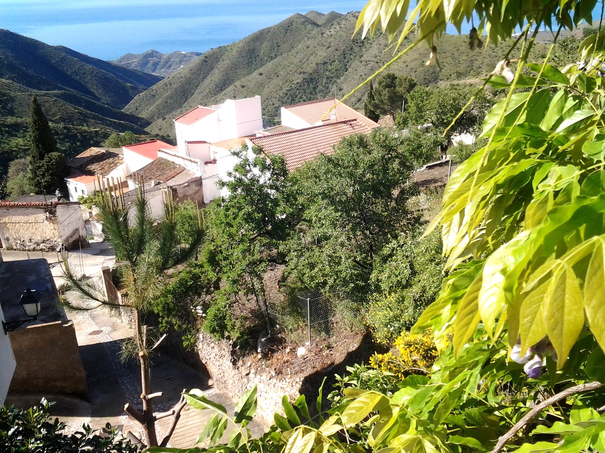 Maison nature à Polopos
