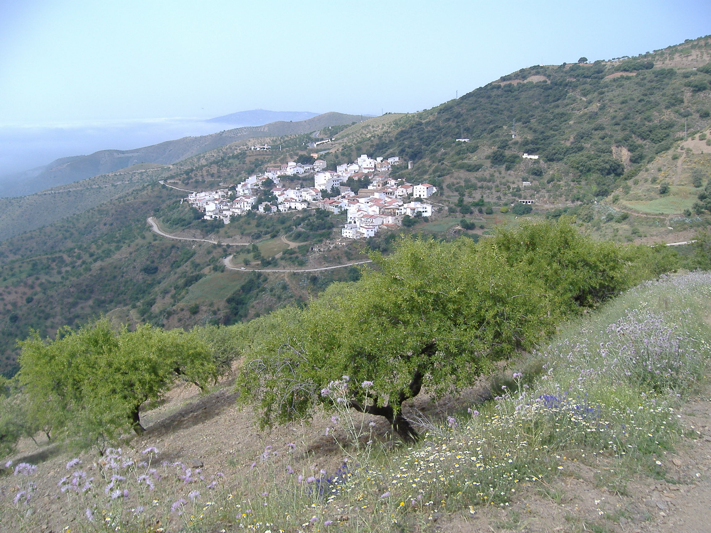 - image: 14