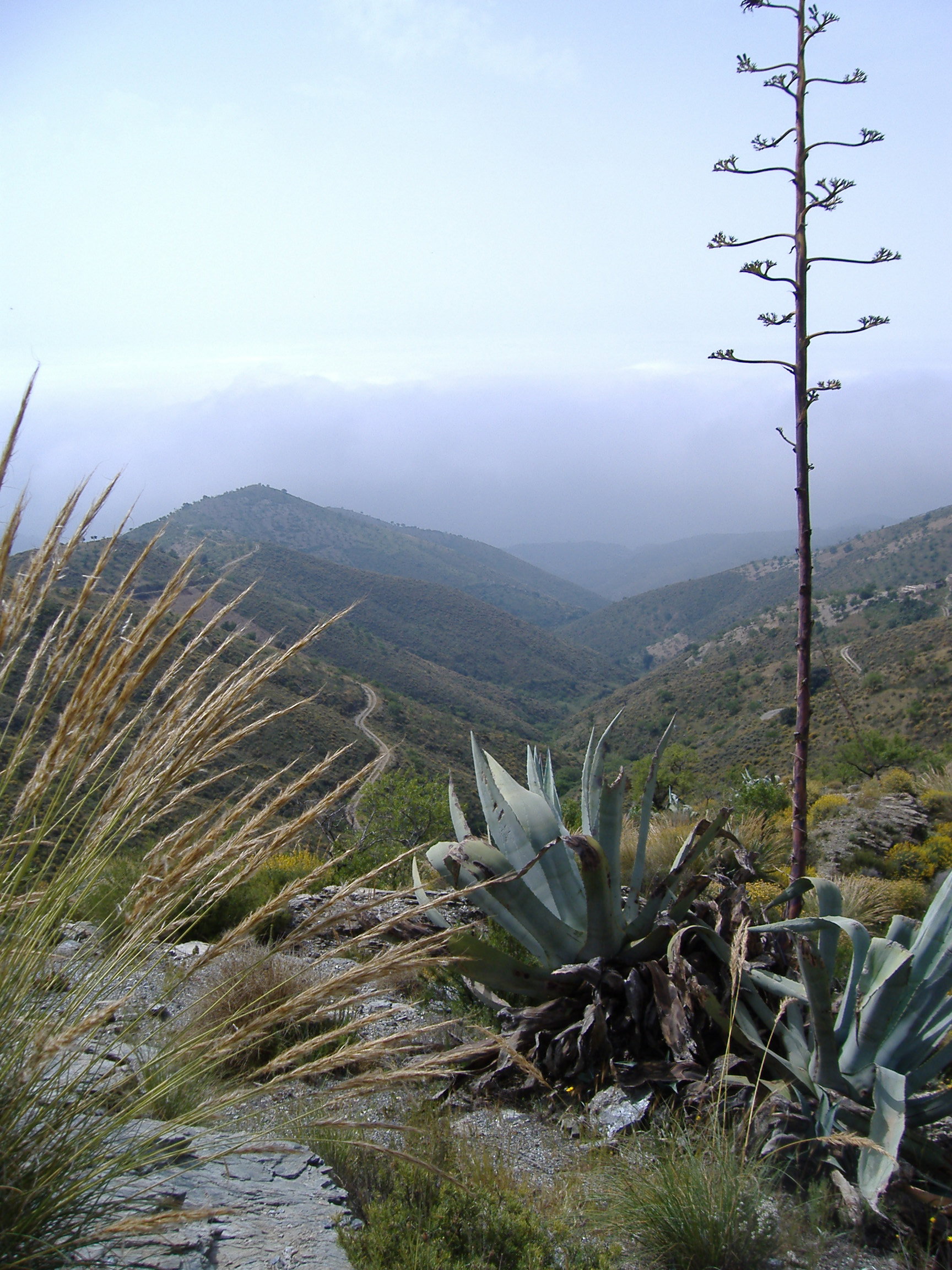 - image: 11