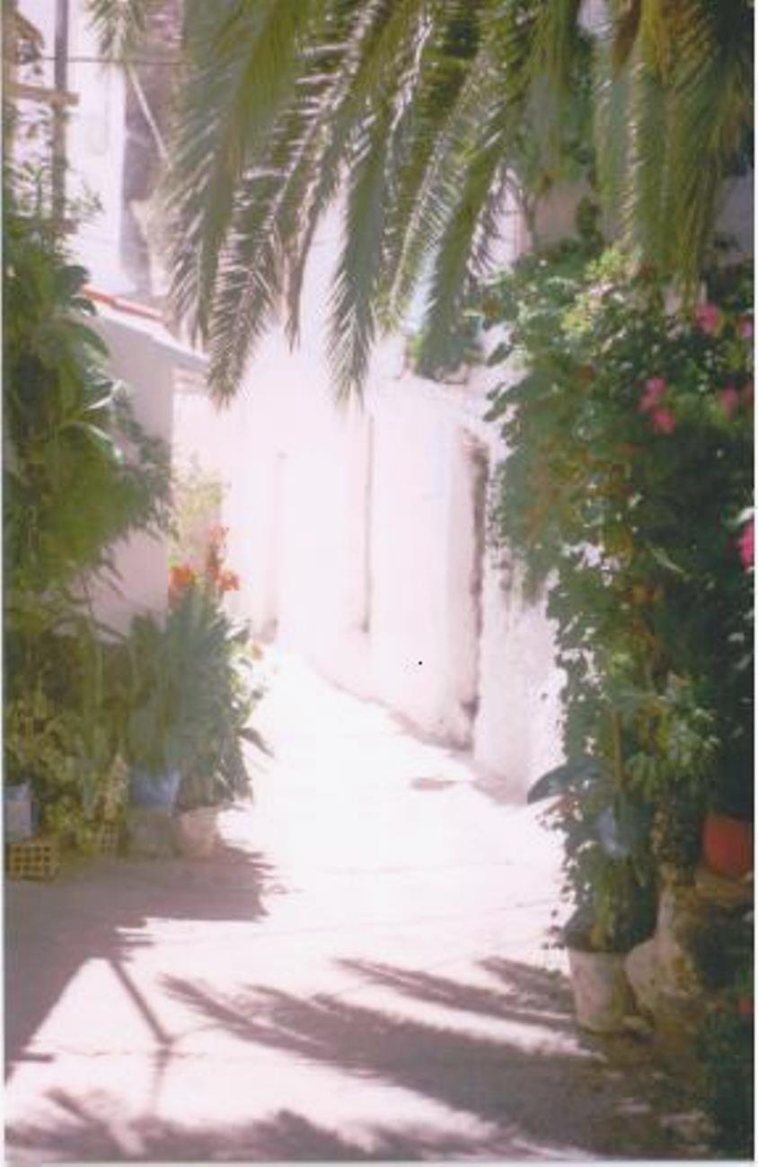 - image: 26