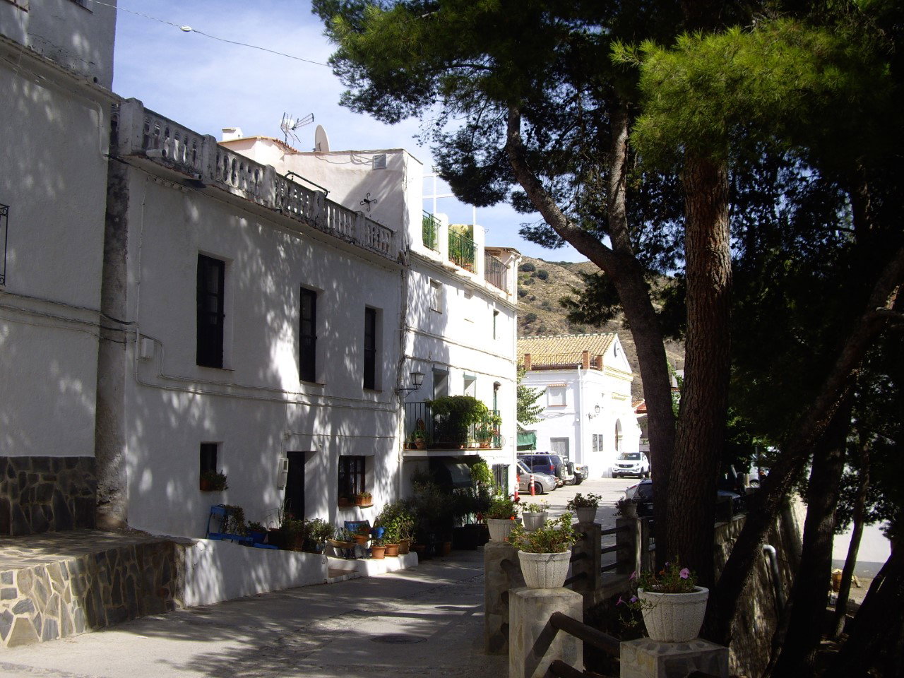 - image: 21
