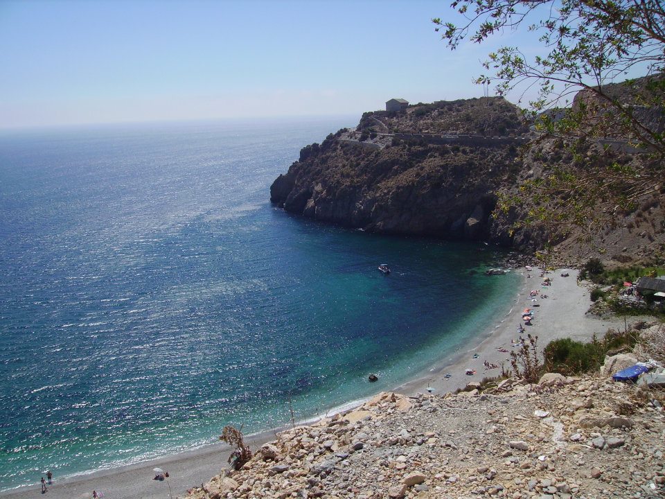 - image: 12