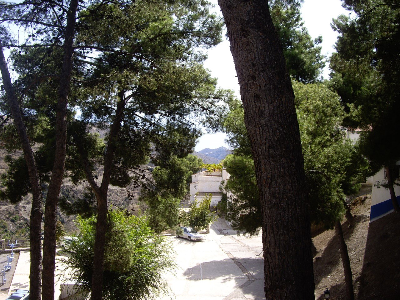 - image: 23