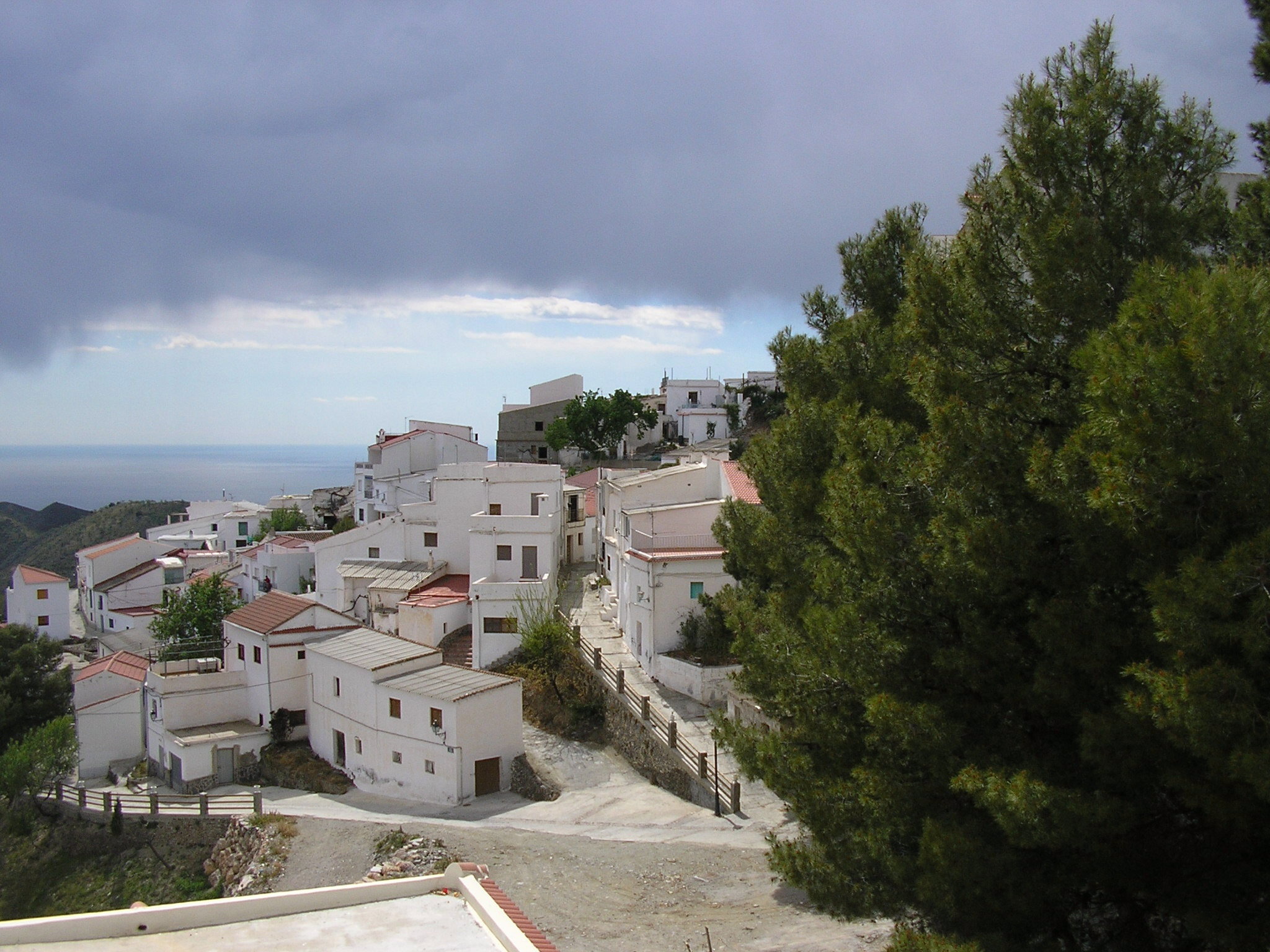- image: 20