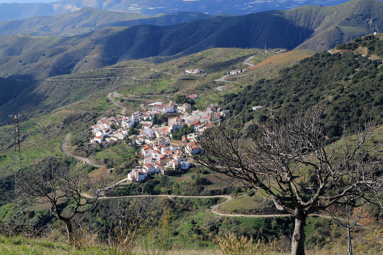 - image: 13