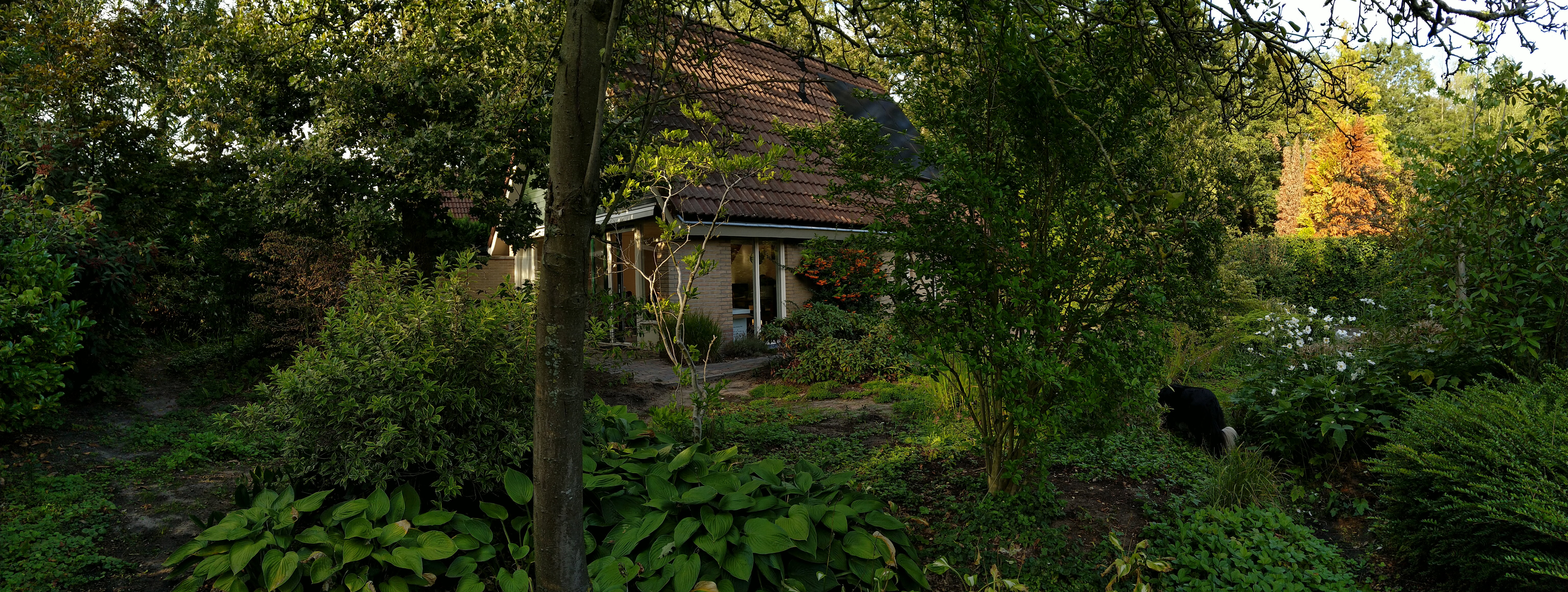 Naturhäuschen in Winterswijk Henxel
