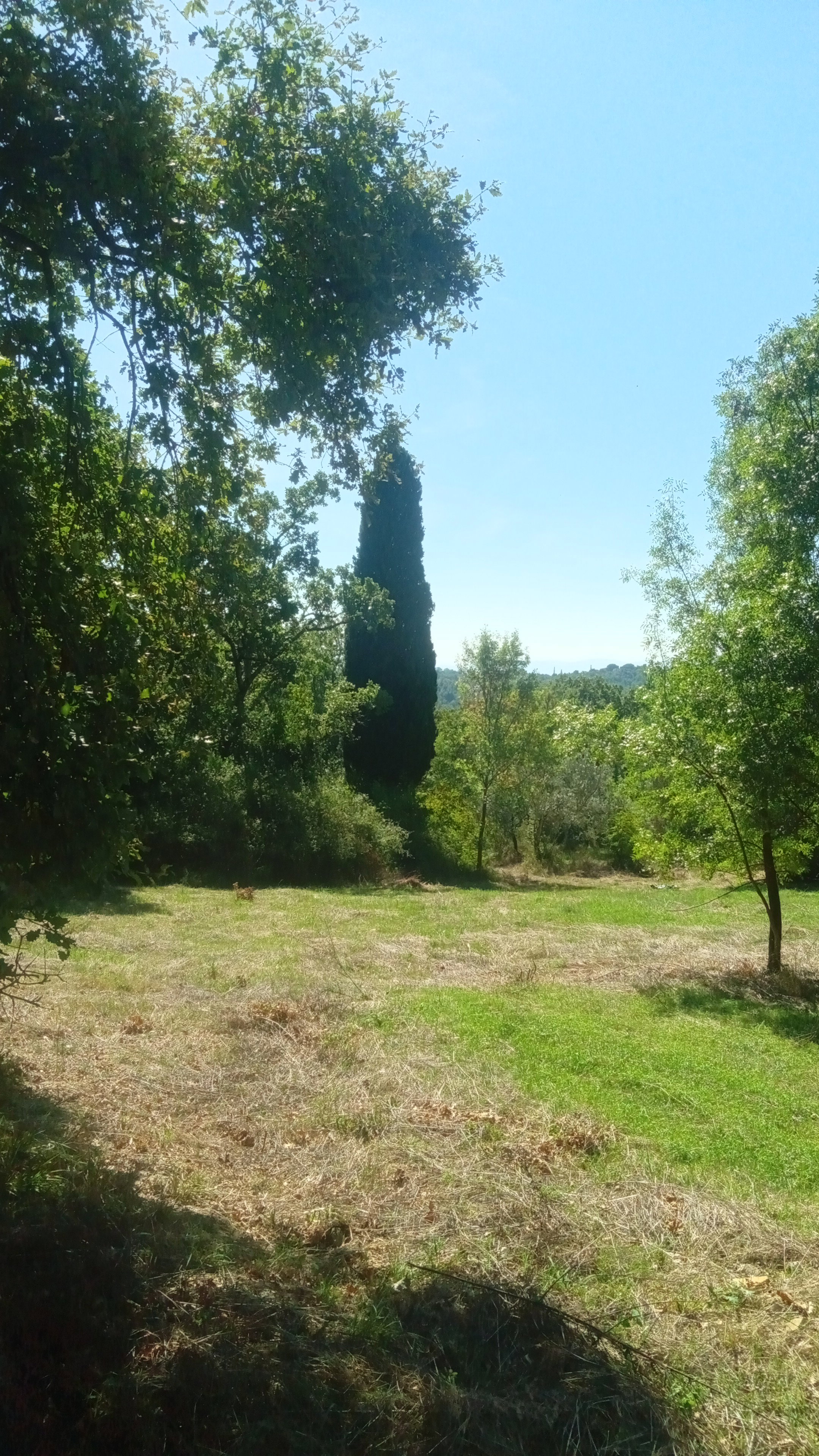 - image: 23