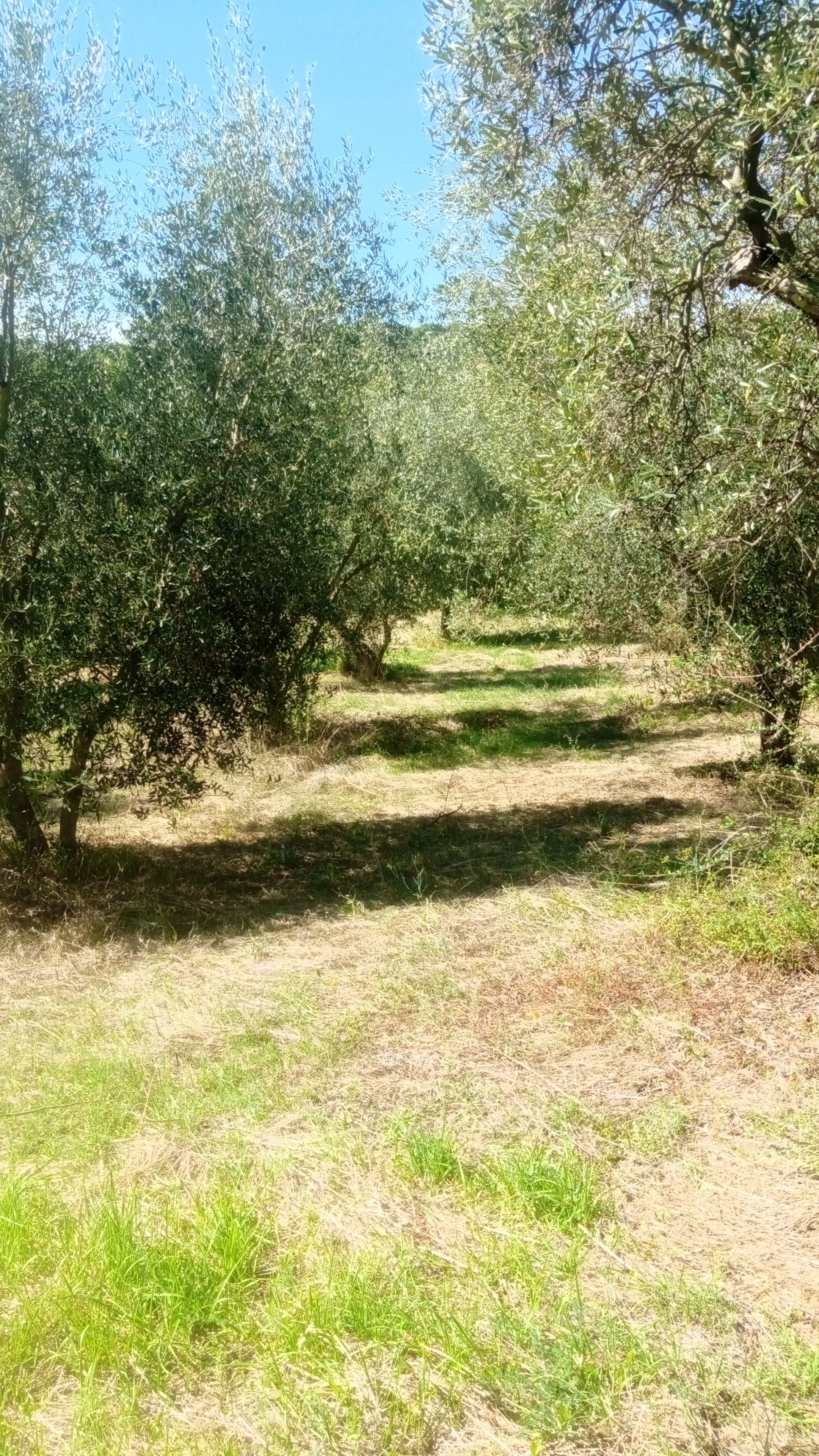 - image: 27