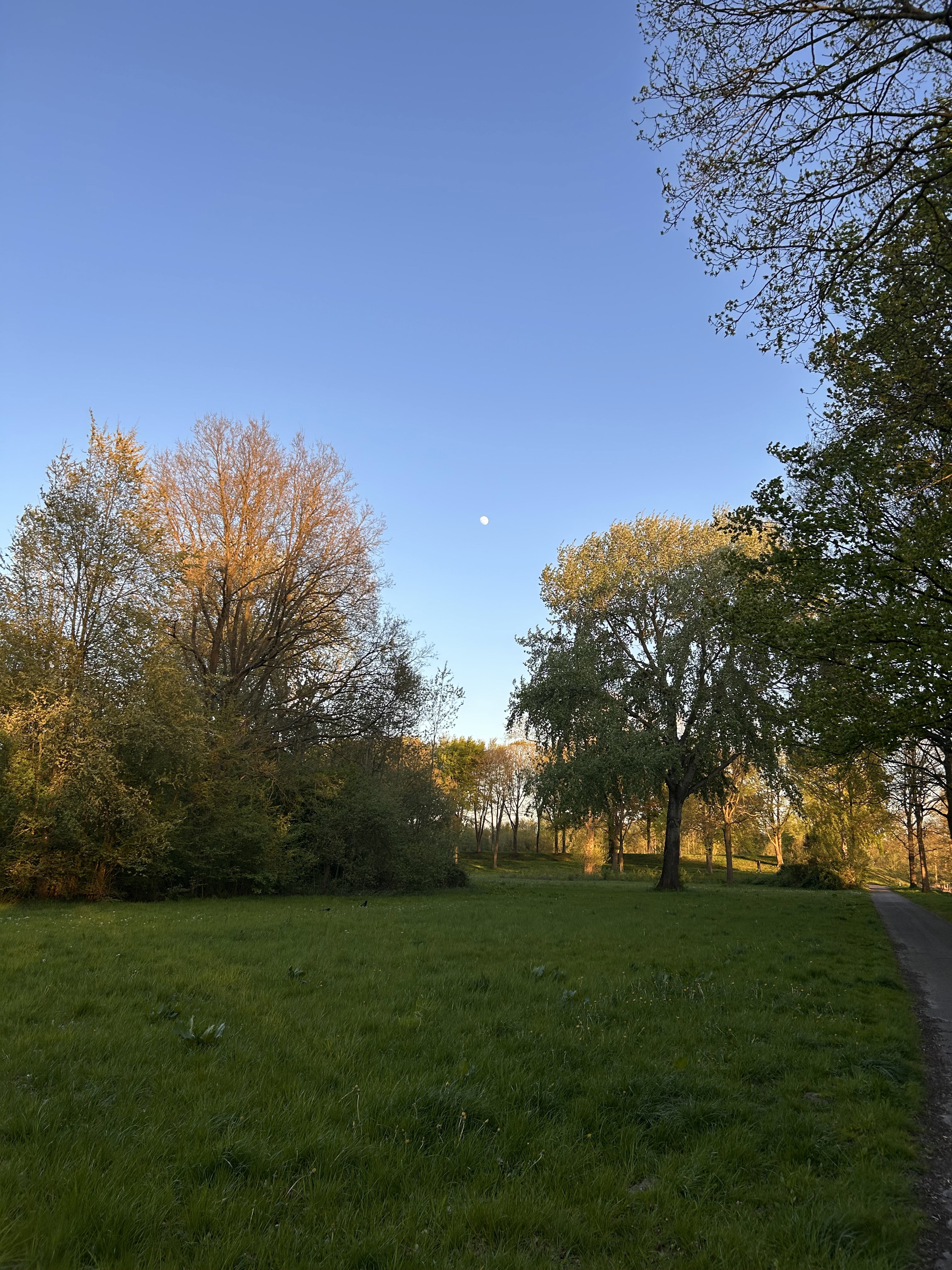 - image: 18