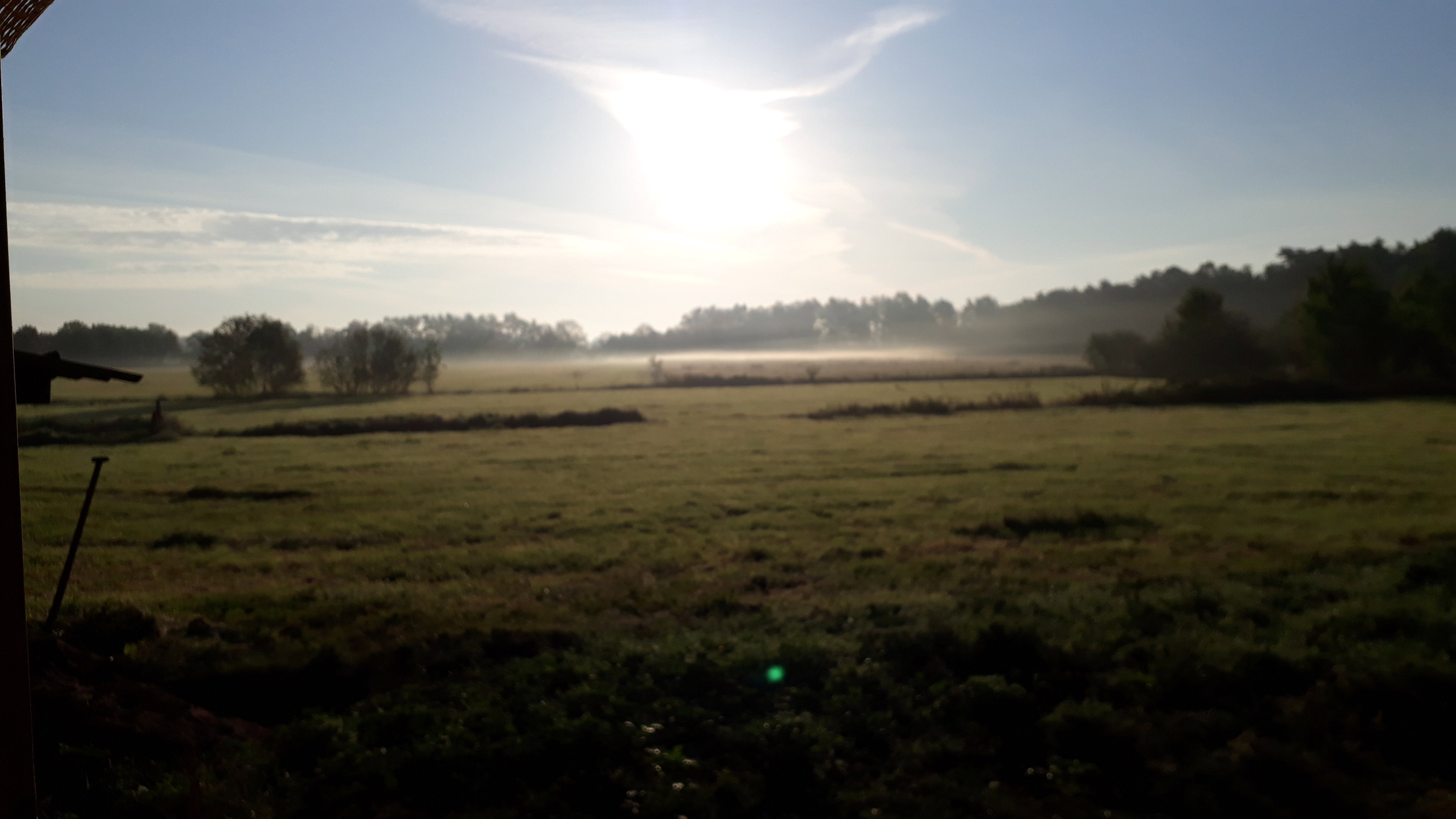 - image: 13