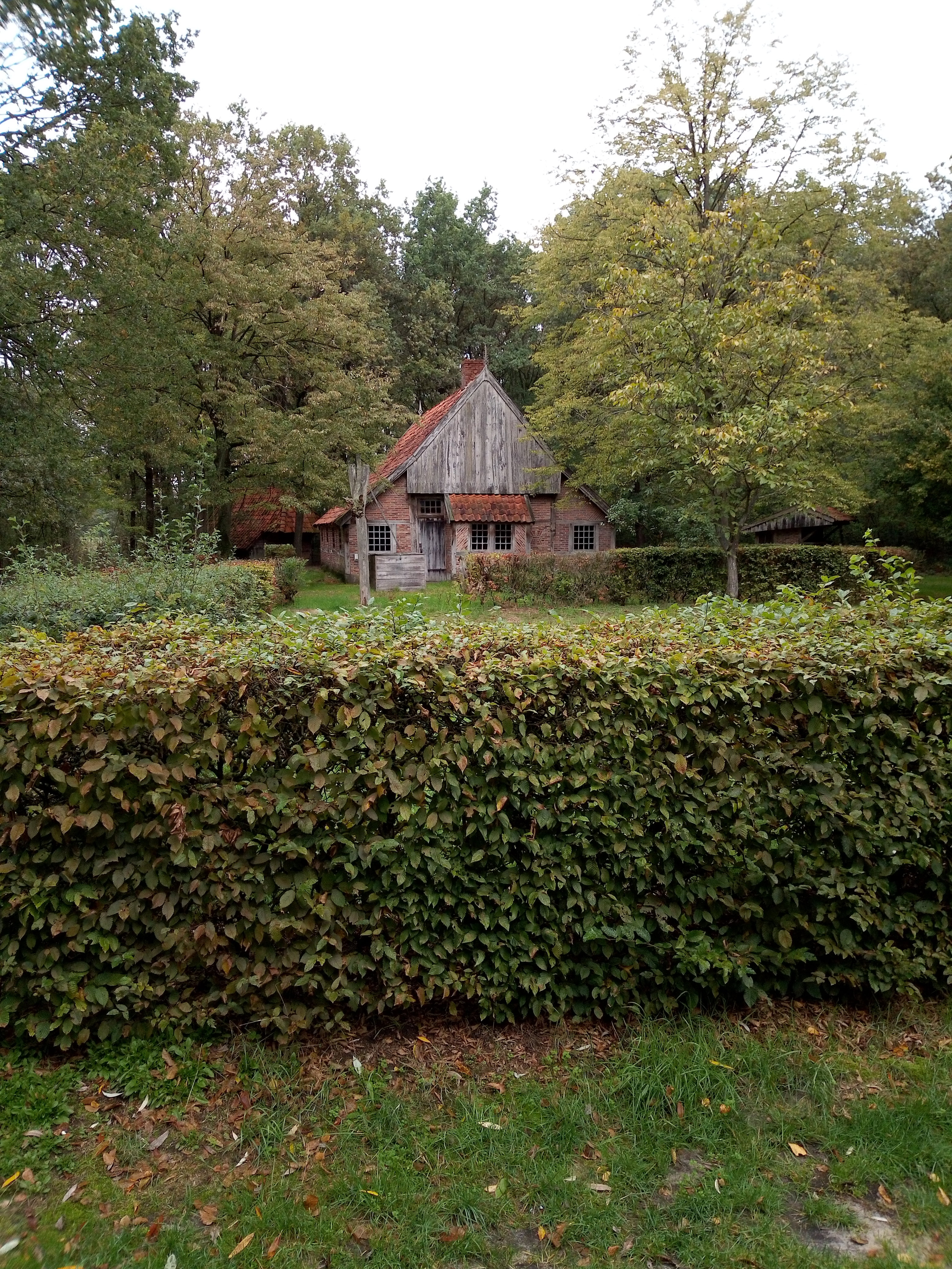 - image: 15