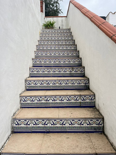 - image: 45