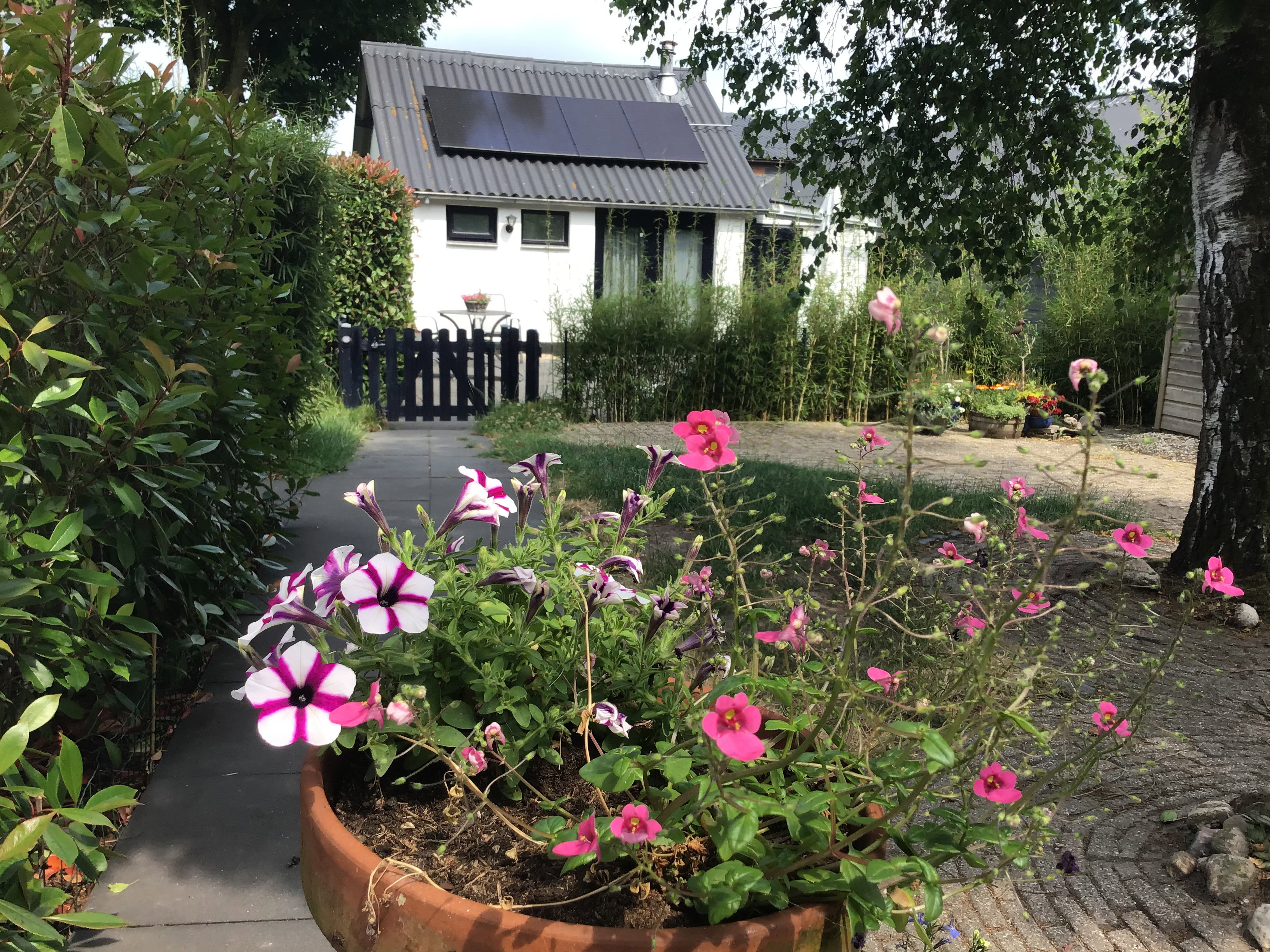 Naturhäuschen in Oldebroek